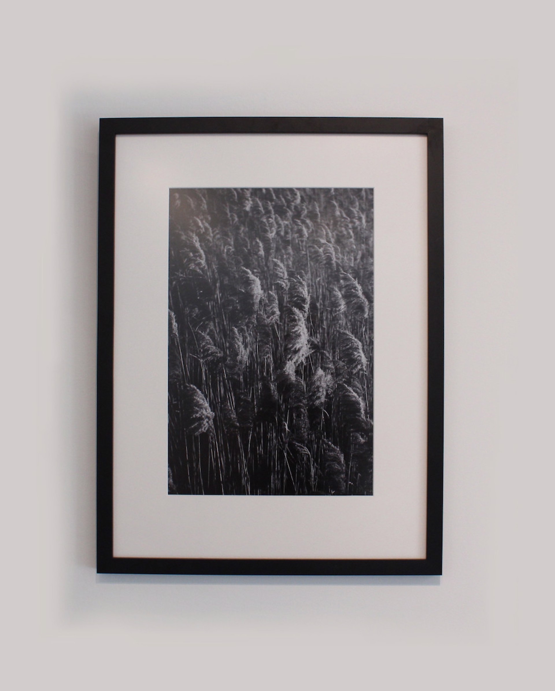 Winter Reeds by Keli Watson