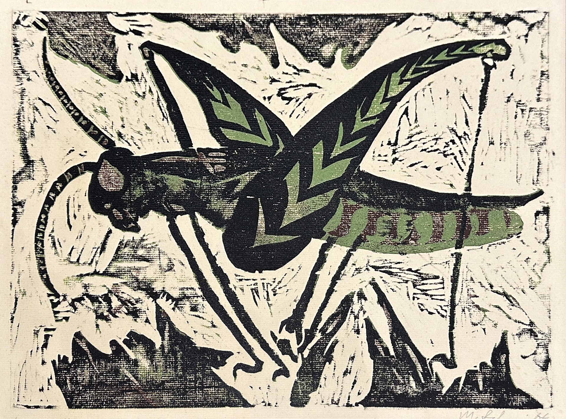 Grasshopper by Maurice Schmidt