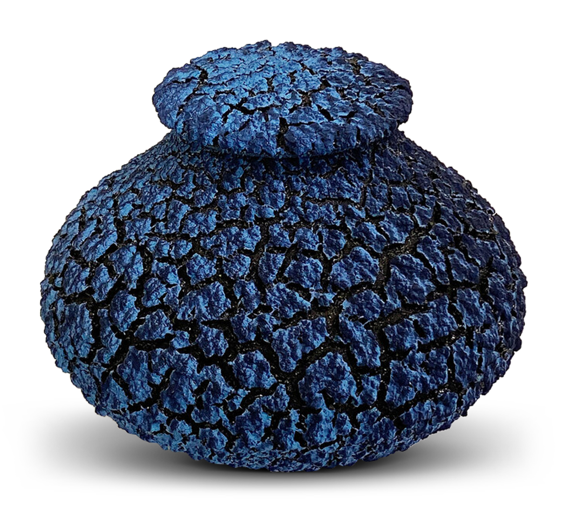 Small Lichen Jar by Randy O'Brien