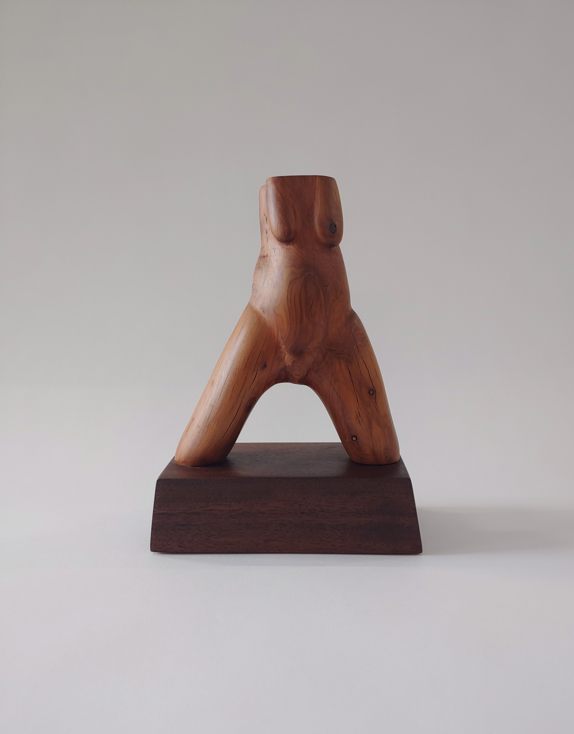 Torso - Wood Sculpture by David Amdur