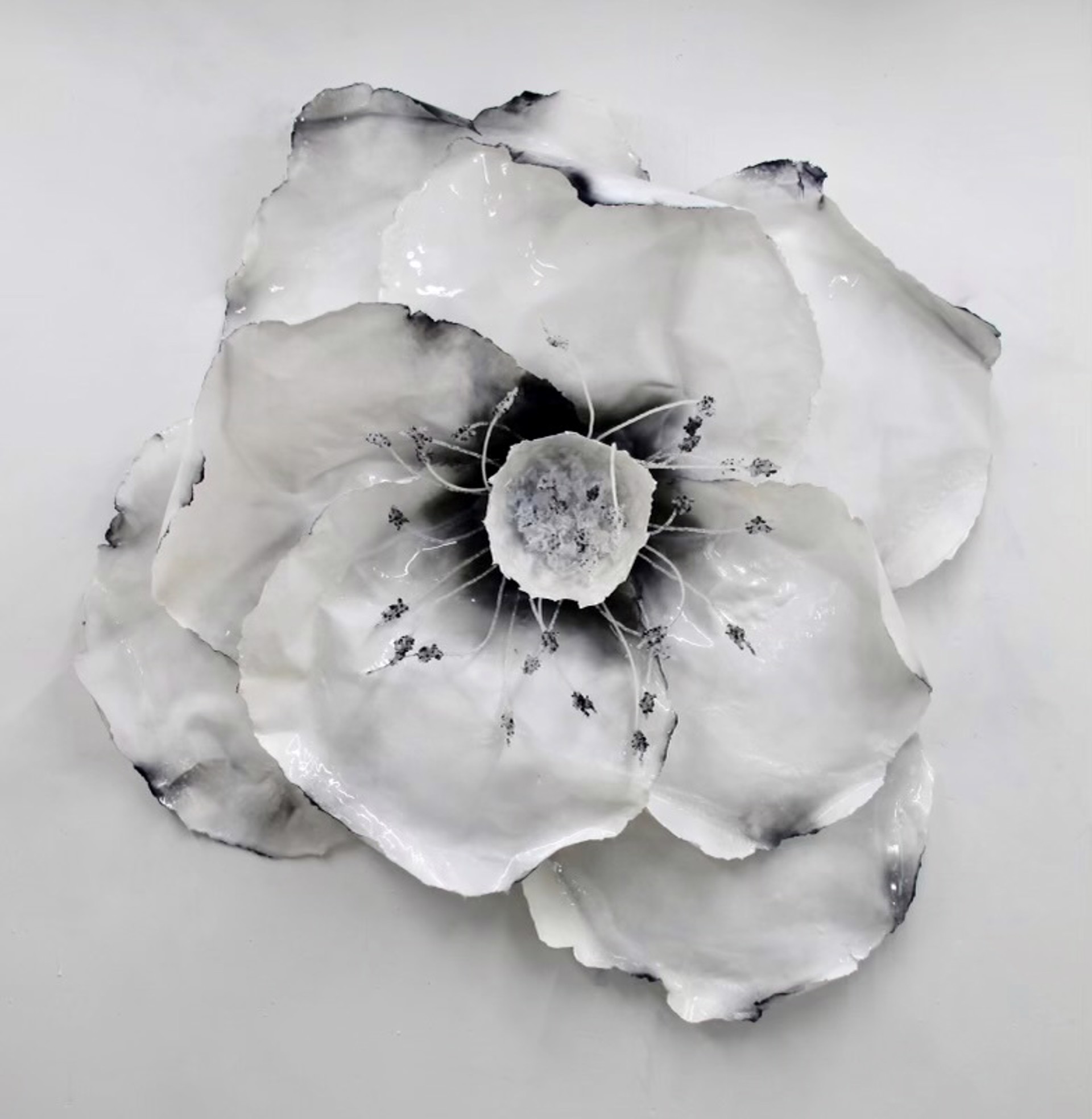 Black and White Commission by Julia Alejandra Gentile