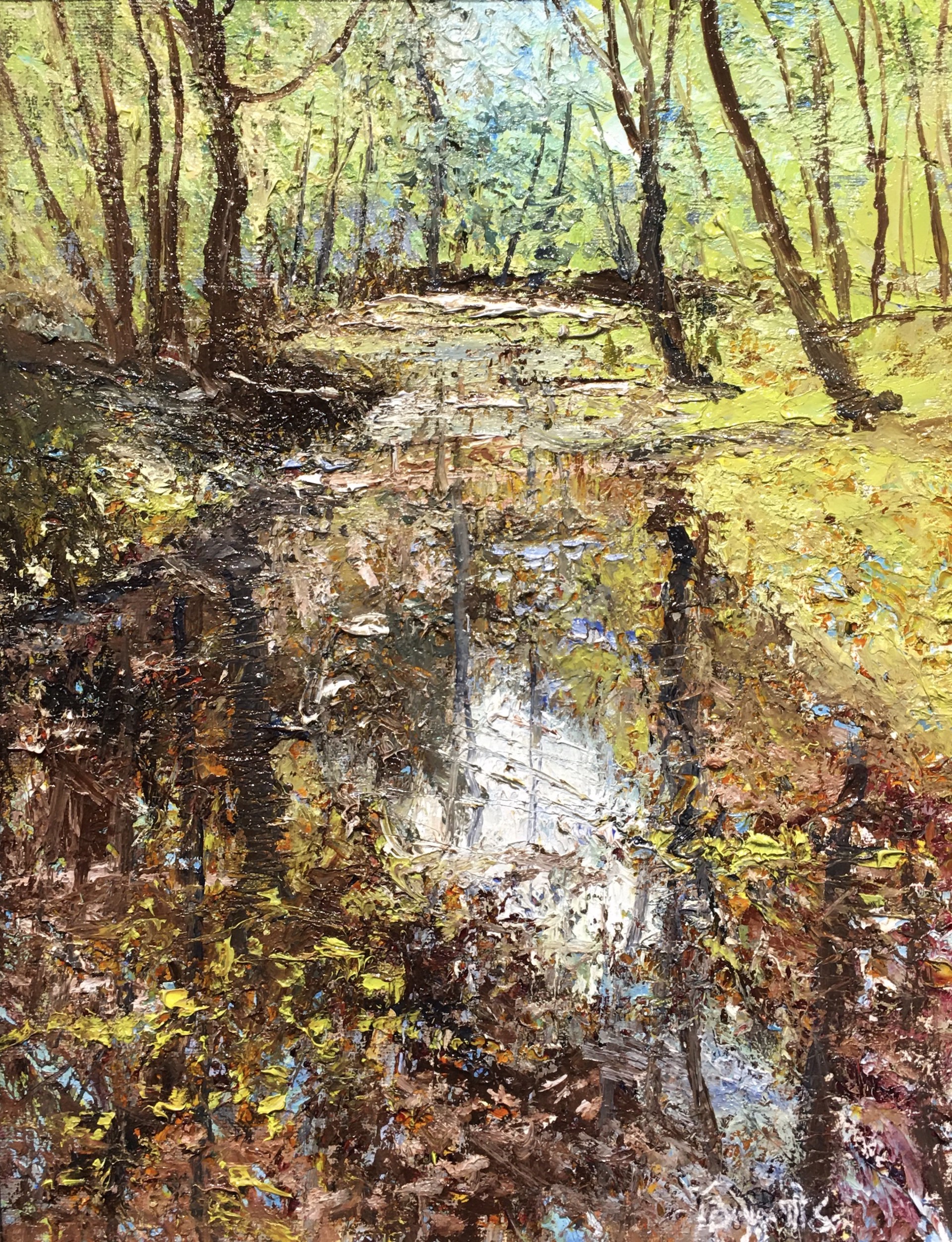 Spring Creek by Frank Baggett