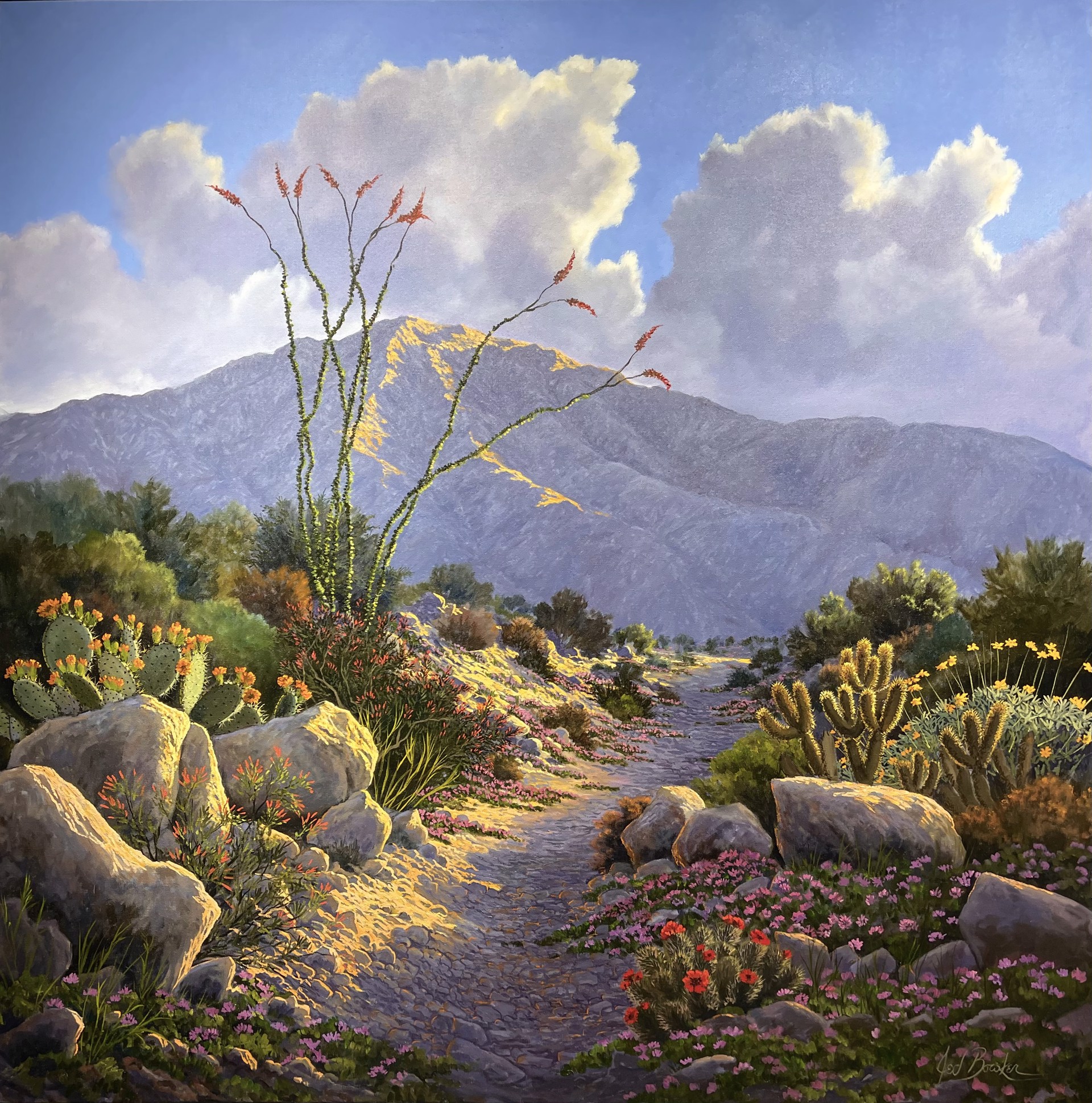 Desert Blooms in Golden Sunlight by Jed Bowker