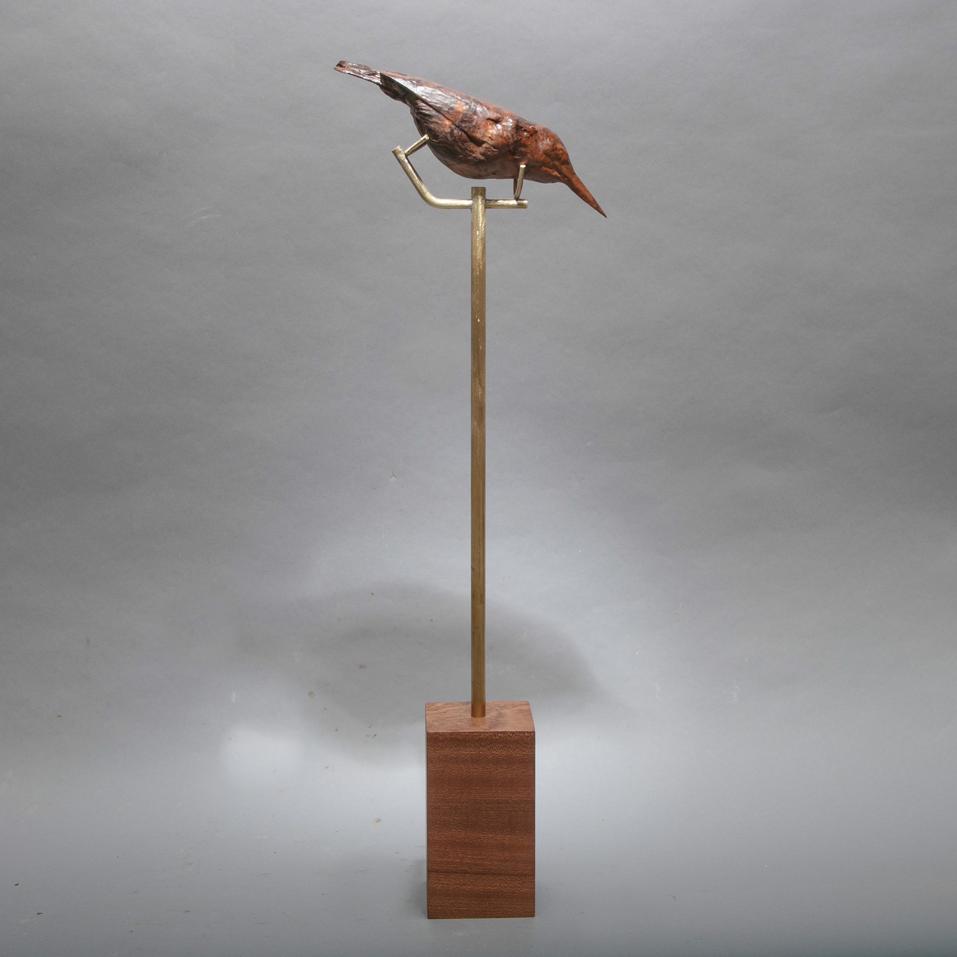 SOLD< Specimen #16 - Kingfisher (1) in walnut by Dana Younger