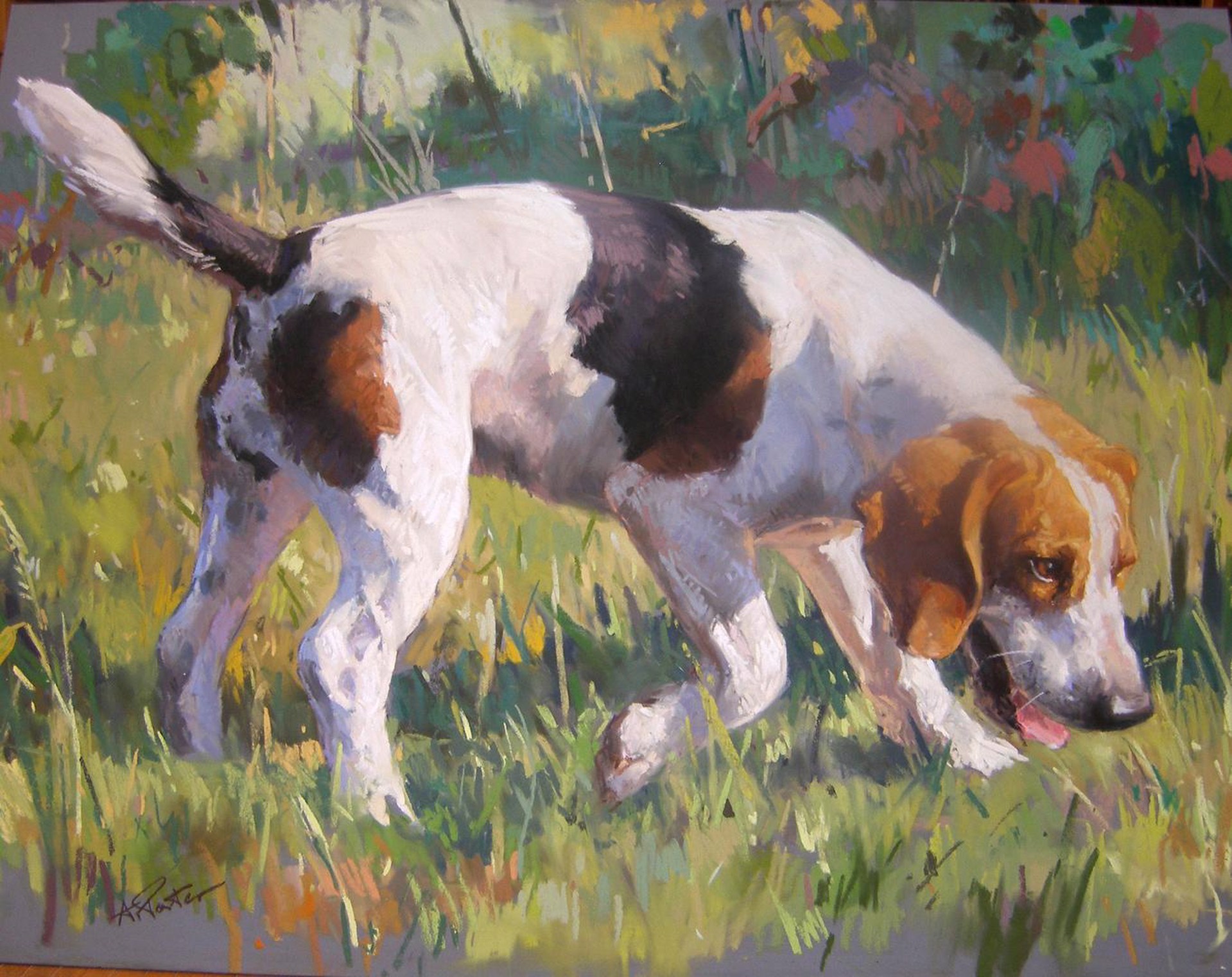 Beagle Study II by Andre Pater