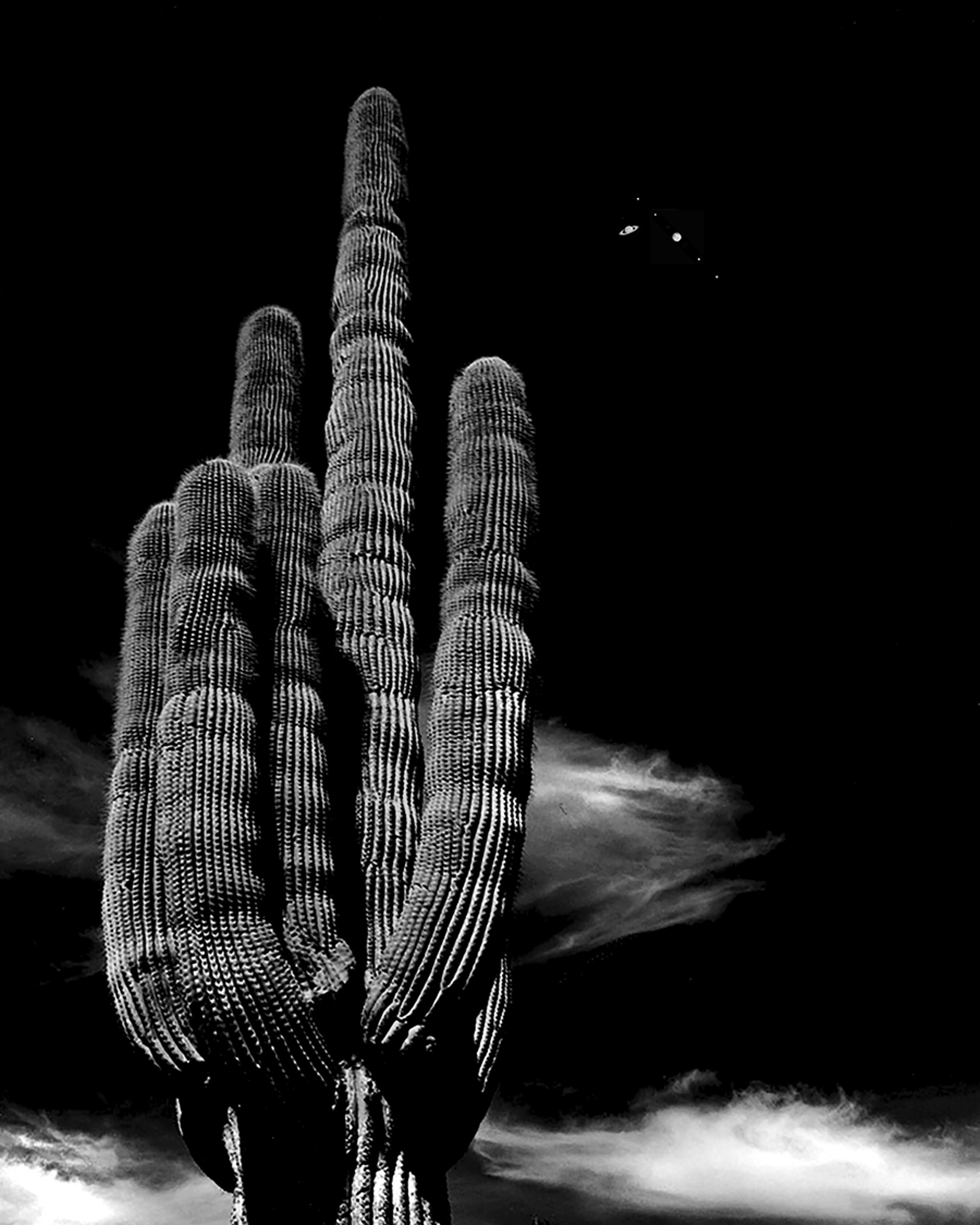 Saguaro and Planets conjunction by Lance Bell