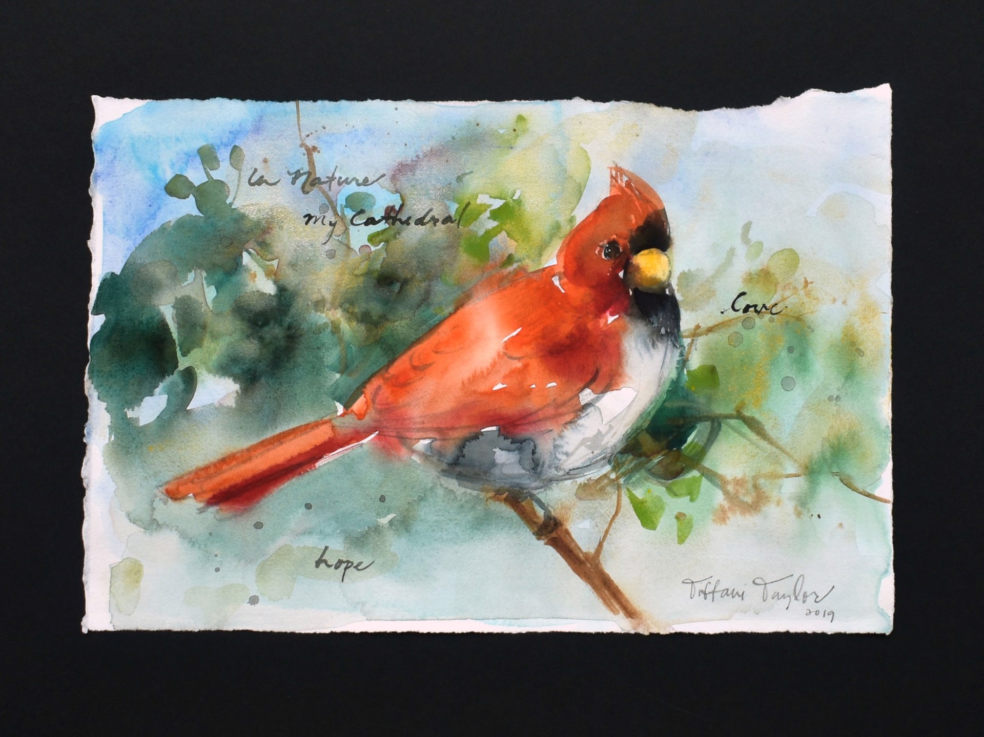 Cardinal:  In Nature, My Cathedral... by Tiffani Taylor