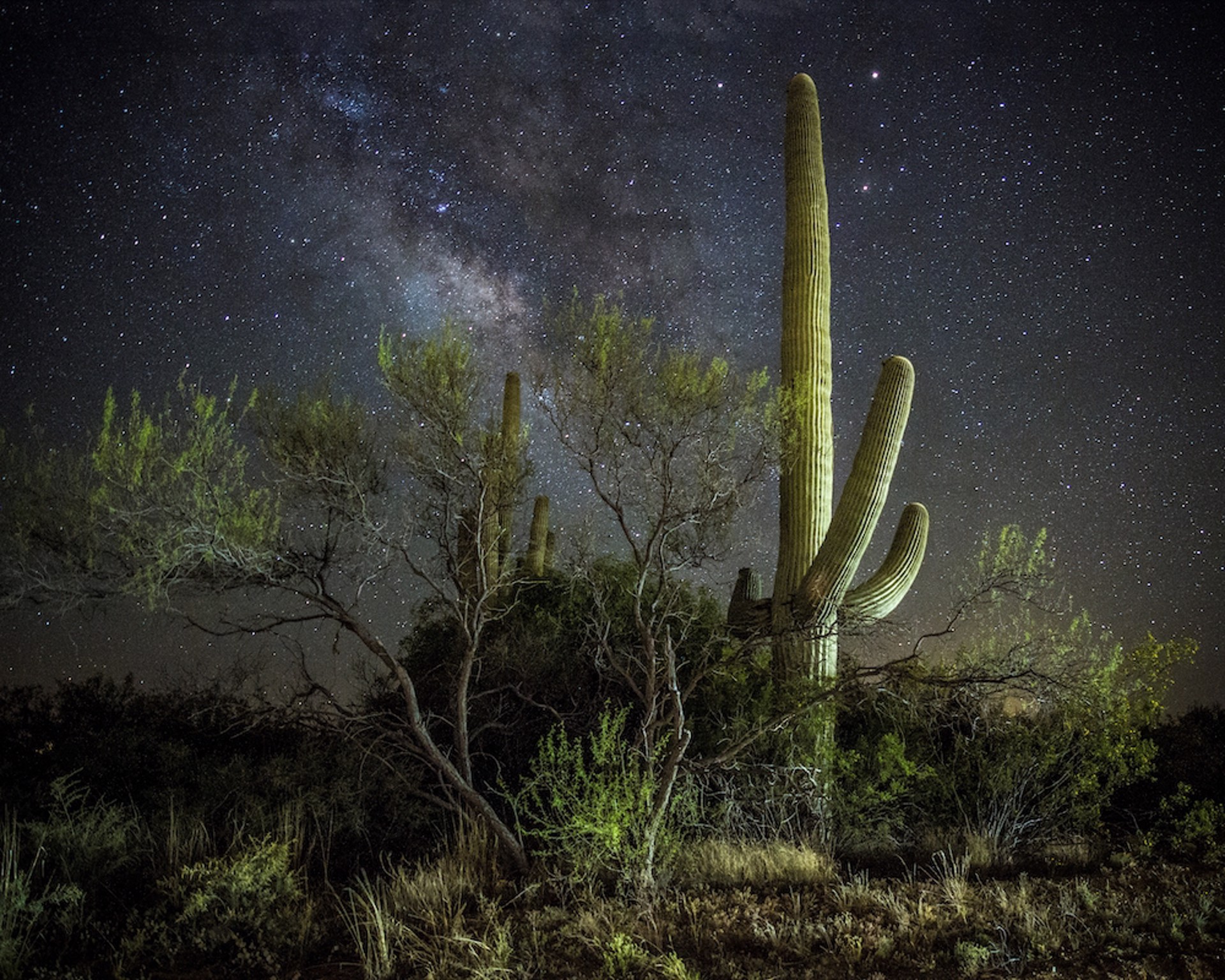 Night Glow by Sabrina Caswell
