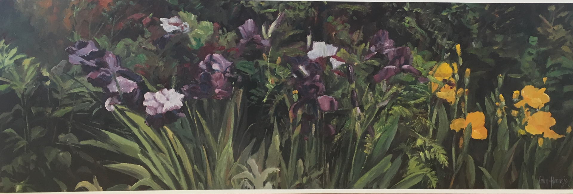 Iris Garden by John Horejs