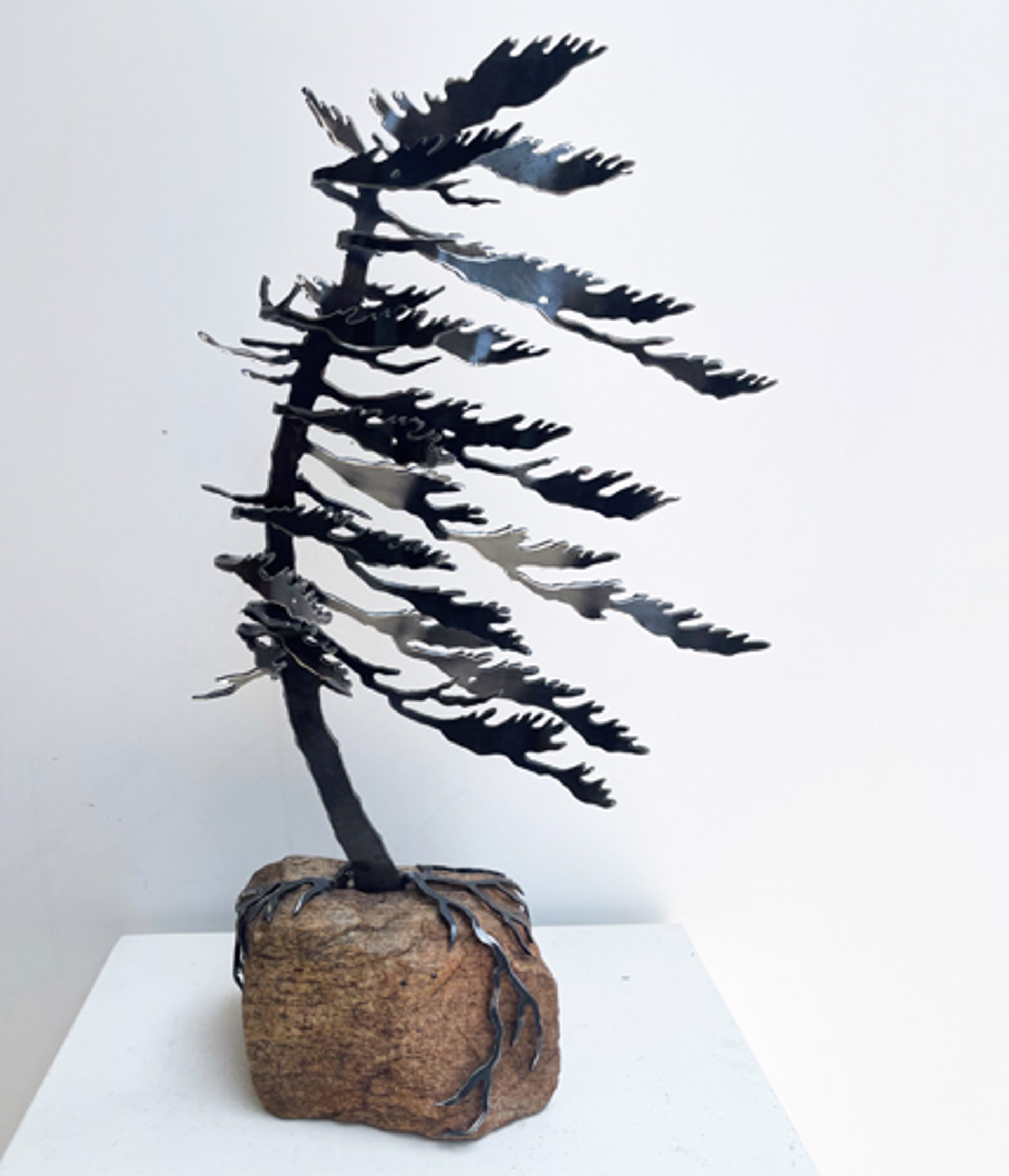 Windswept Pine 659751 by Cathy Mark