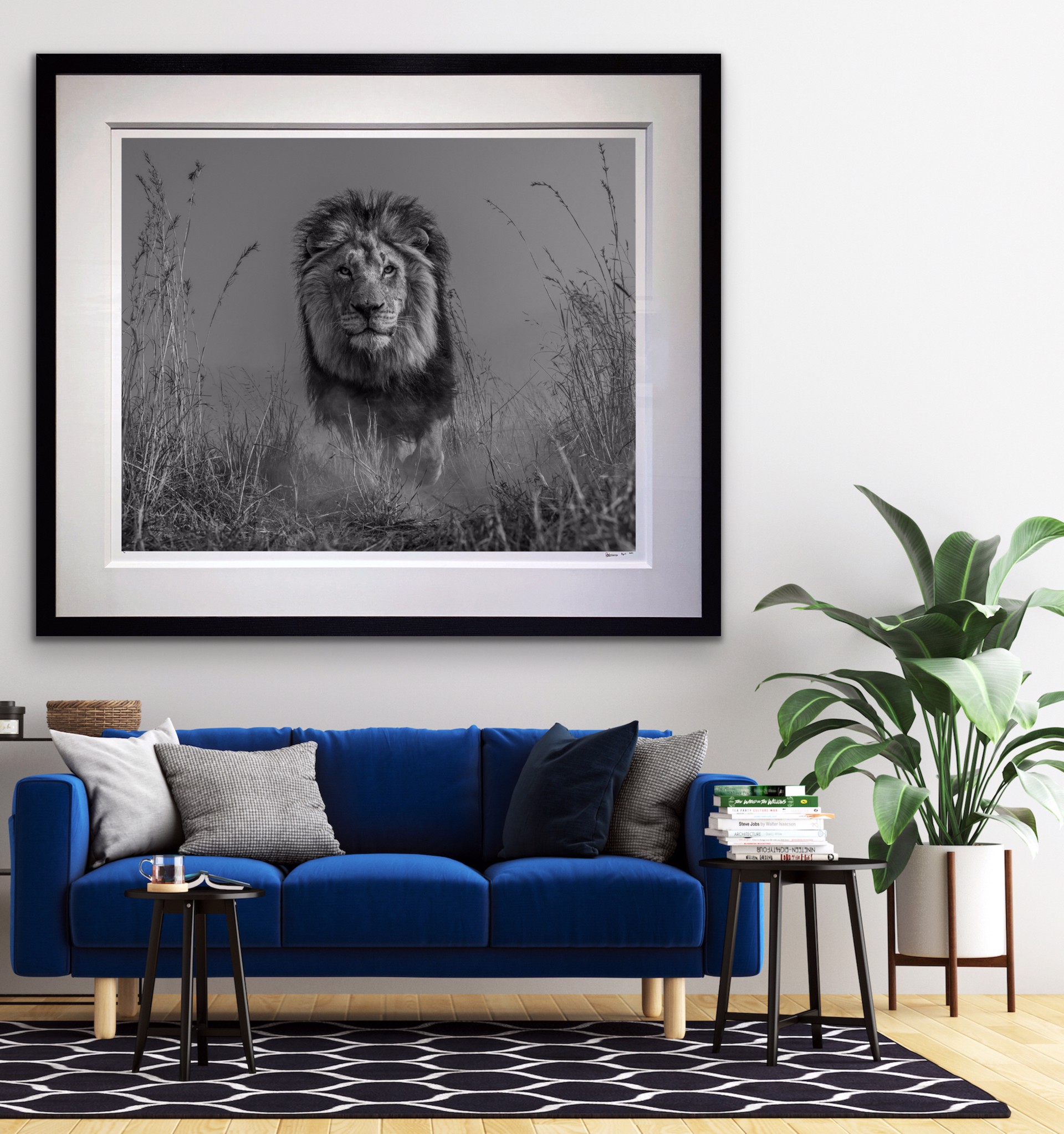 The King and I by David Yarrow