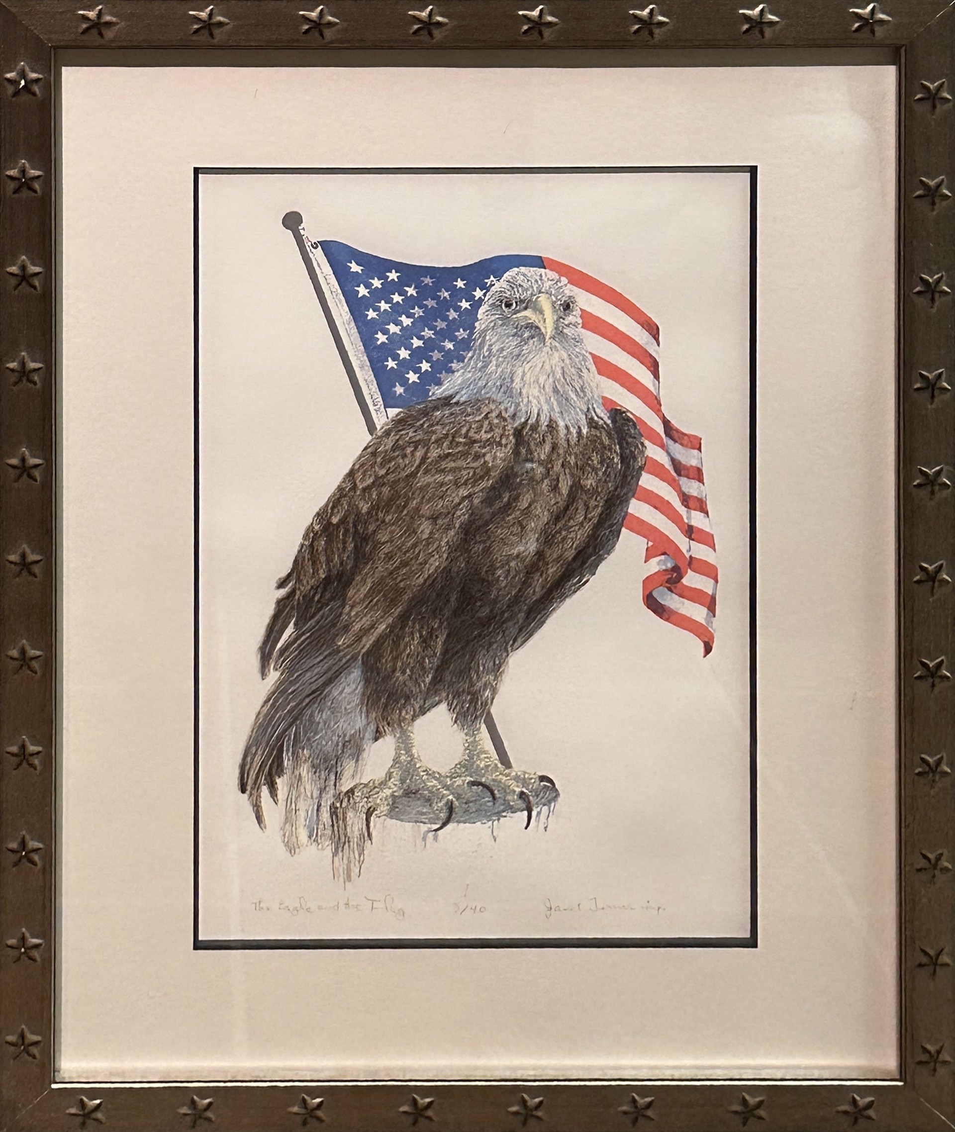 The Eagle and The Flag by Janet Turner