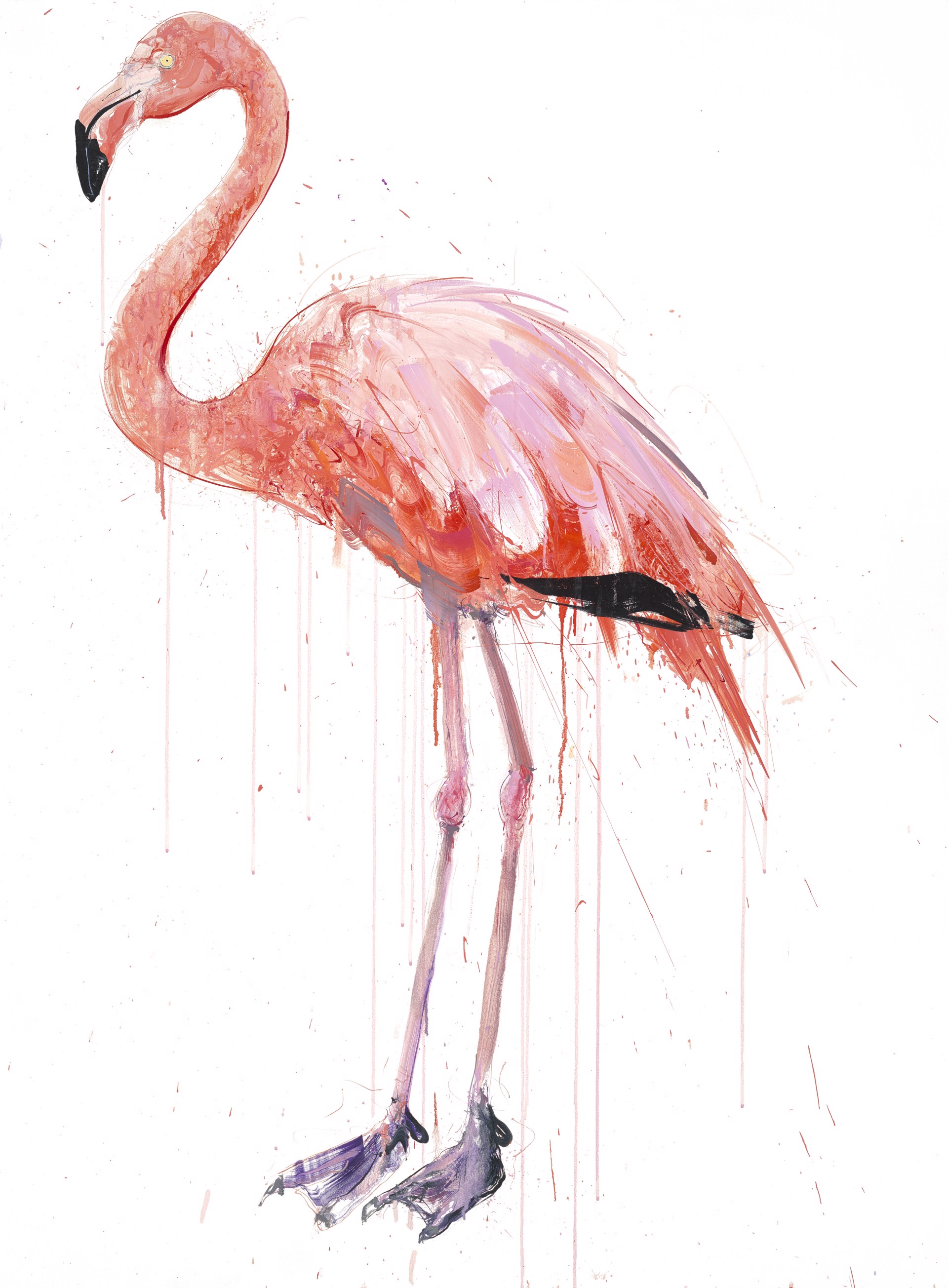 Flamingo I (left facing) by Dave White