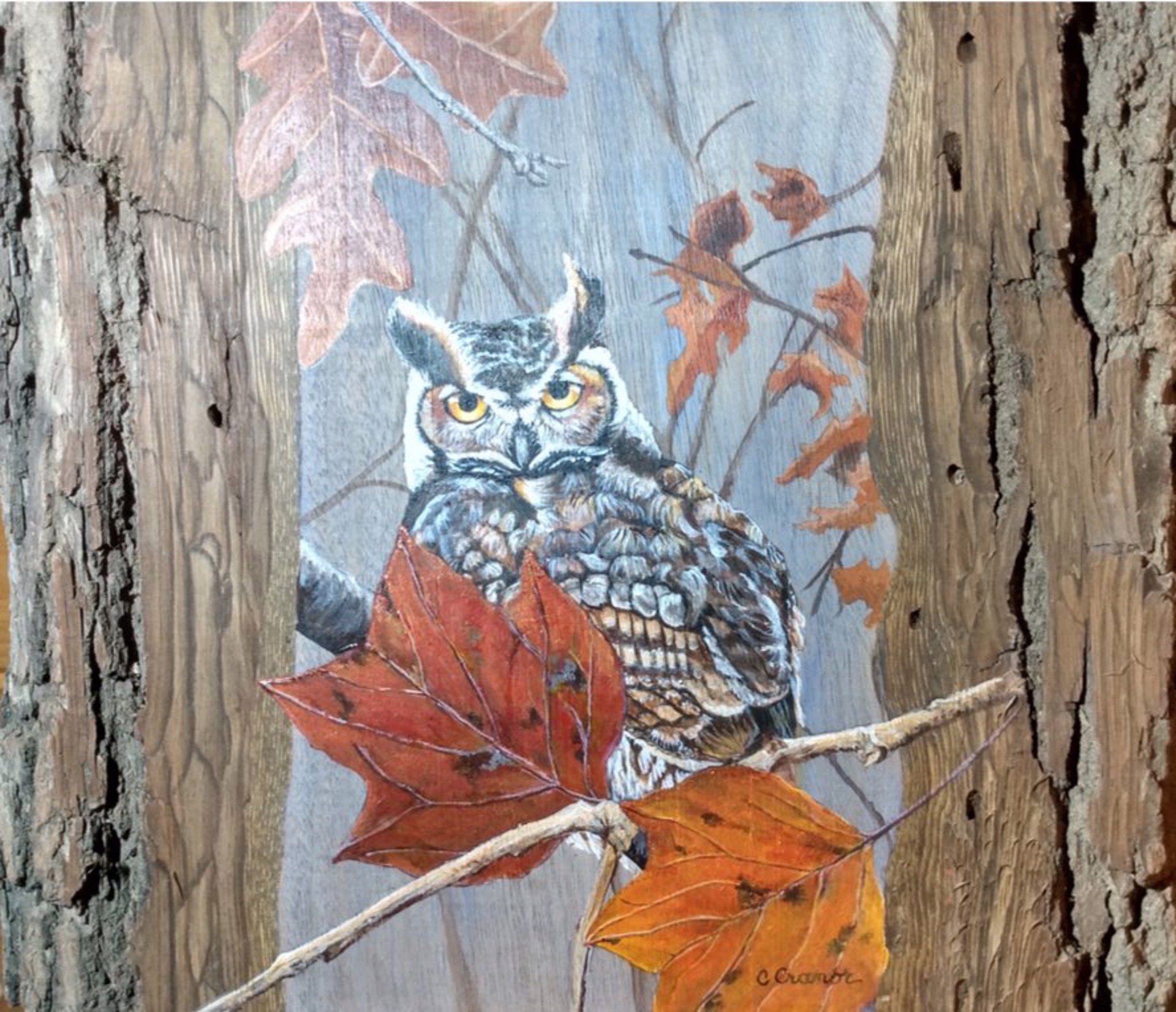 Autumn Owl by Cindy Cranor