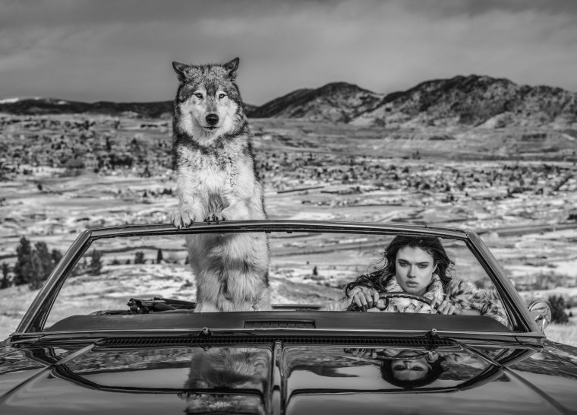 The Richest Hill In The World by David Yarrow