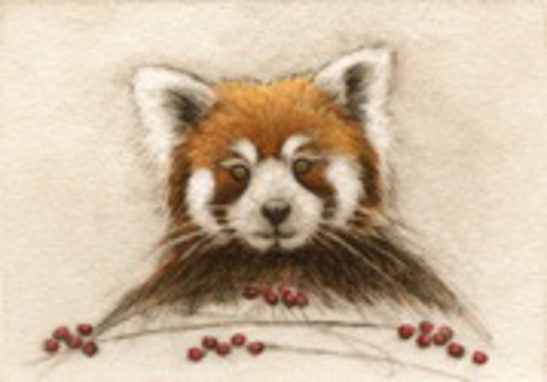 Red Panda_unframed, #52/100 by Melanie Fain
