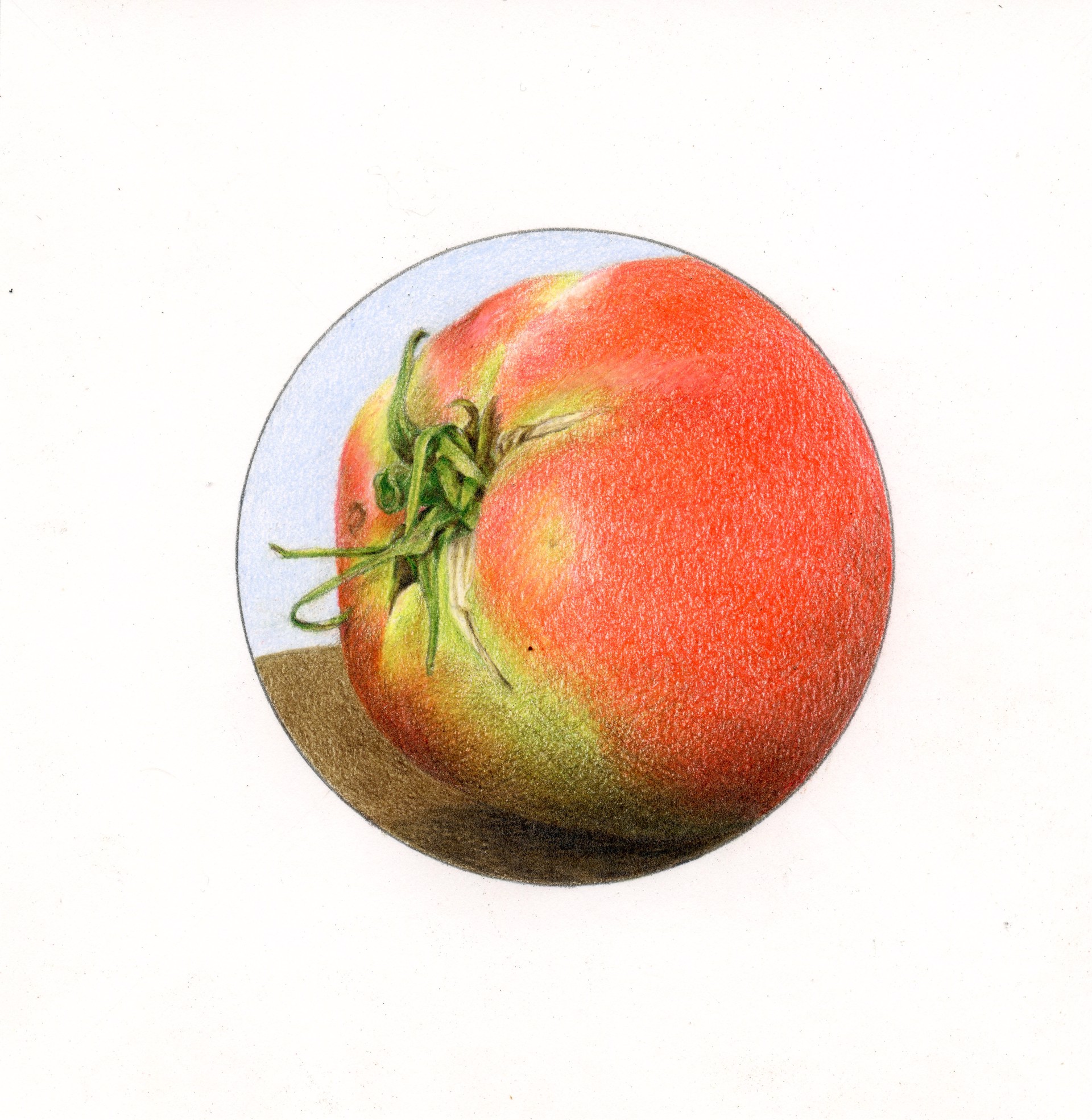 Tomato by Mary Lee Eggart