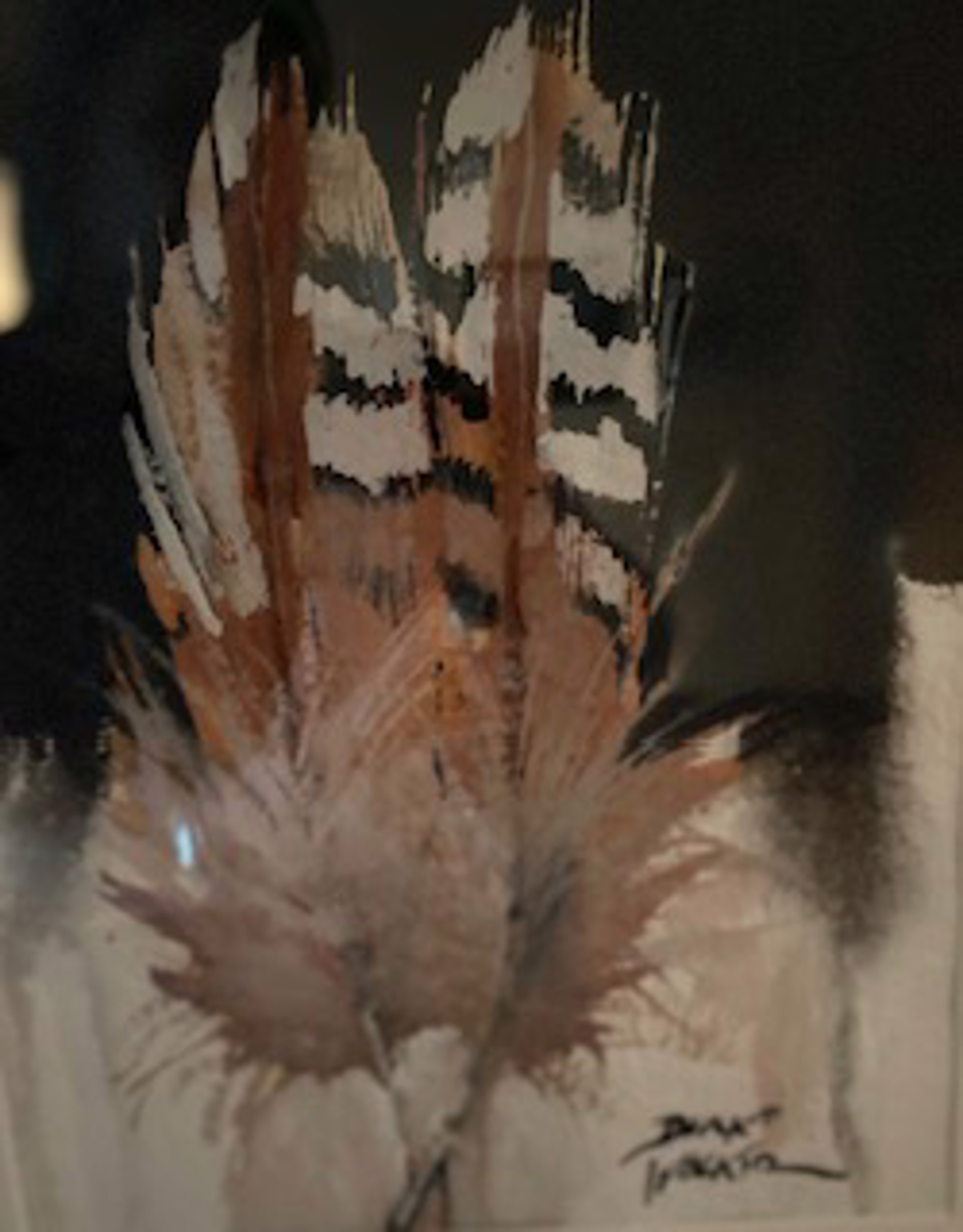 Pair of Pheasant Feathers by Dirk Walker