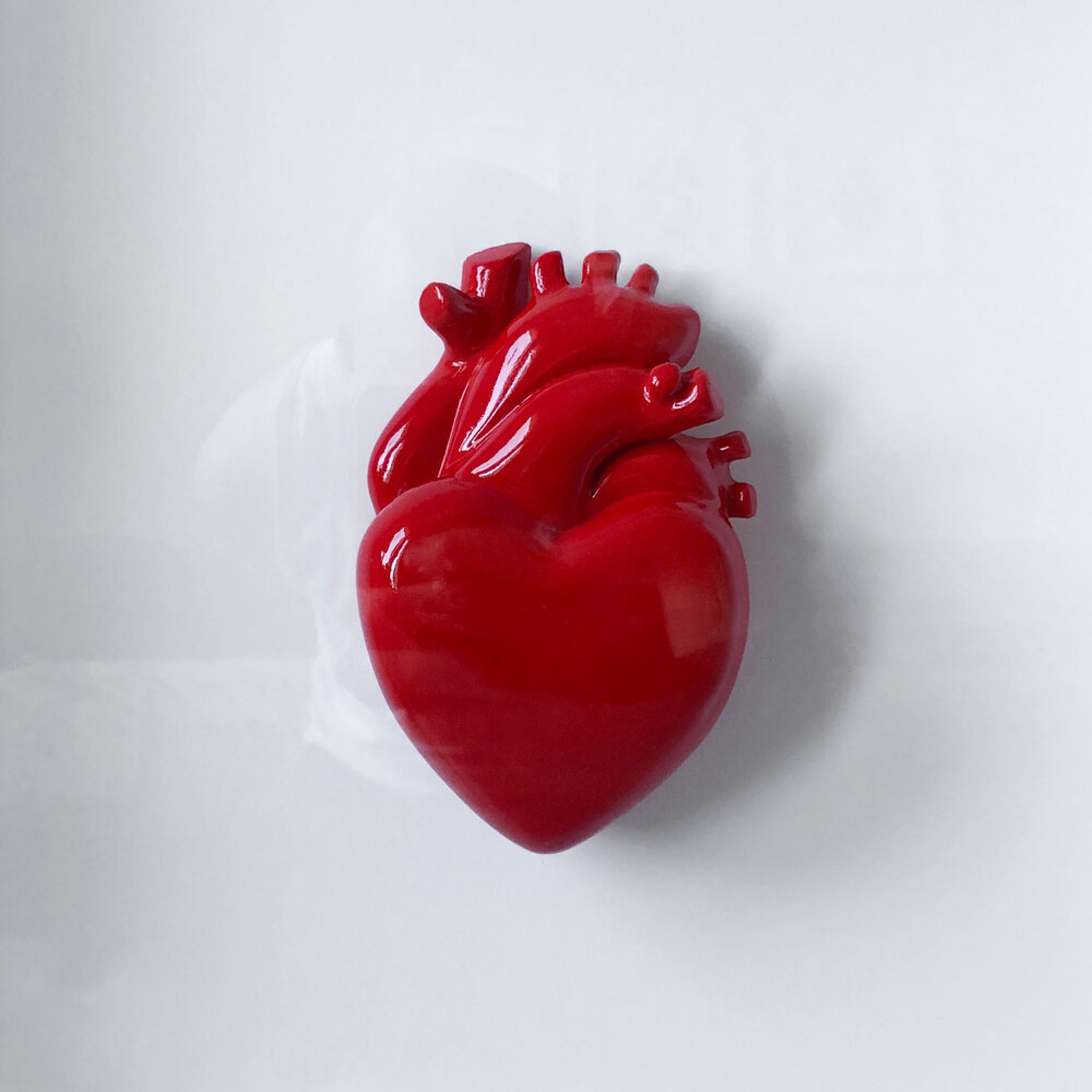 Heart work (Mitra Commission) by David Schwartz