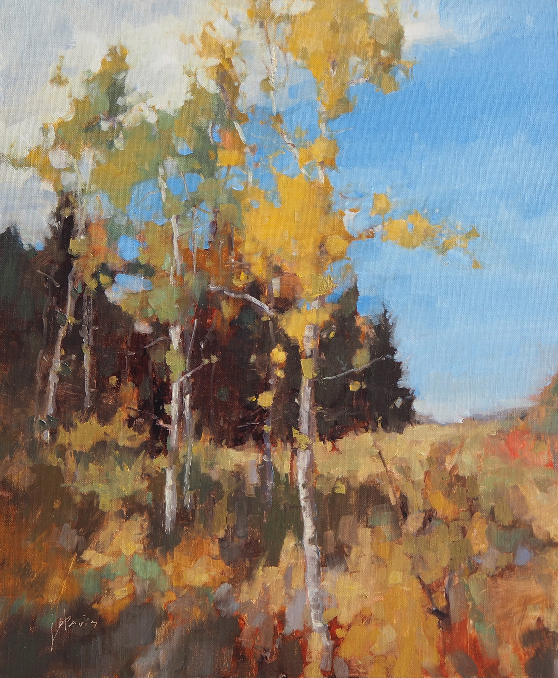 Golden Birch by Julie Davis