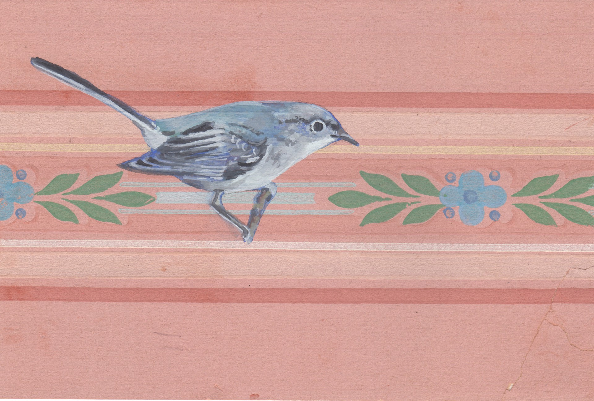 Blue-Gray Gnatcatcher–Poliptila caerulea by Barbara Fedeler