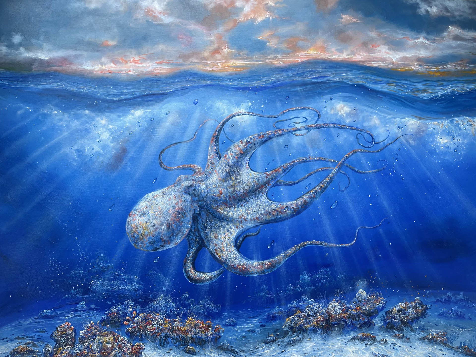 My Octopus Teacher by Robert Lyn Nelson