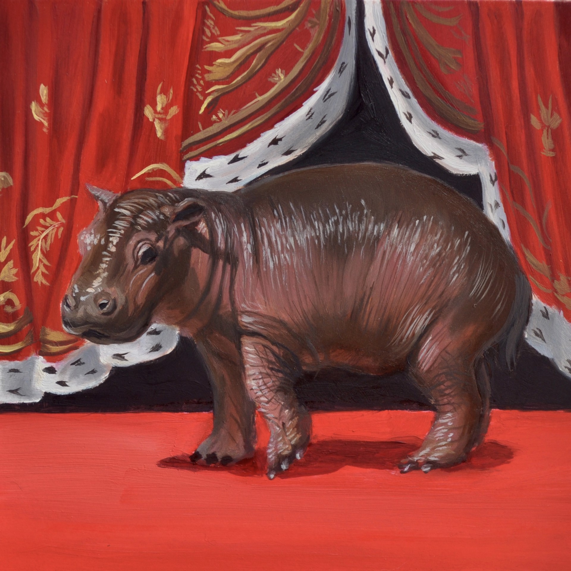 Baby Hippo by Robin Hextrum