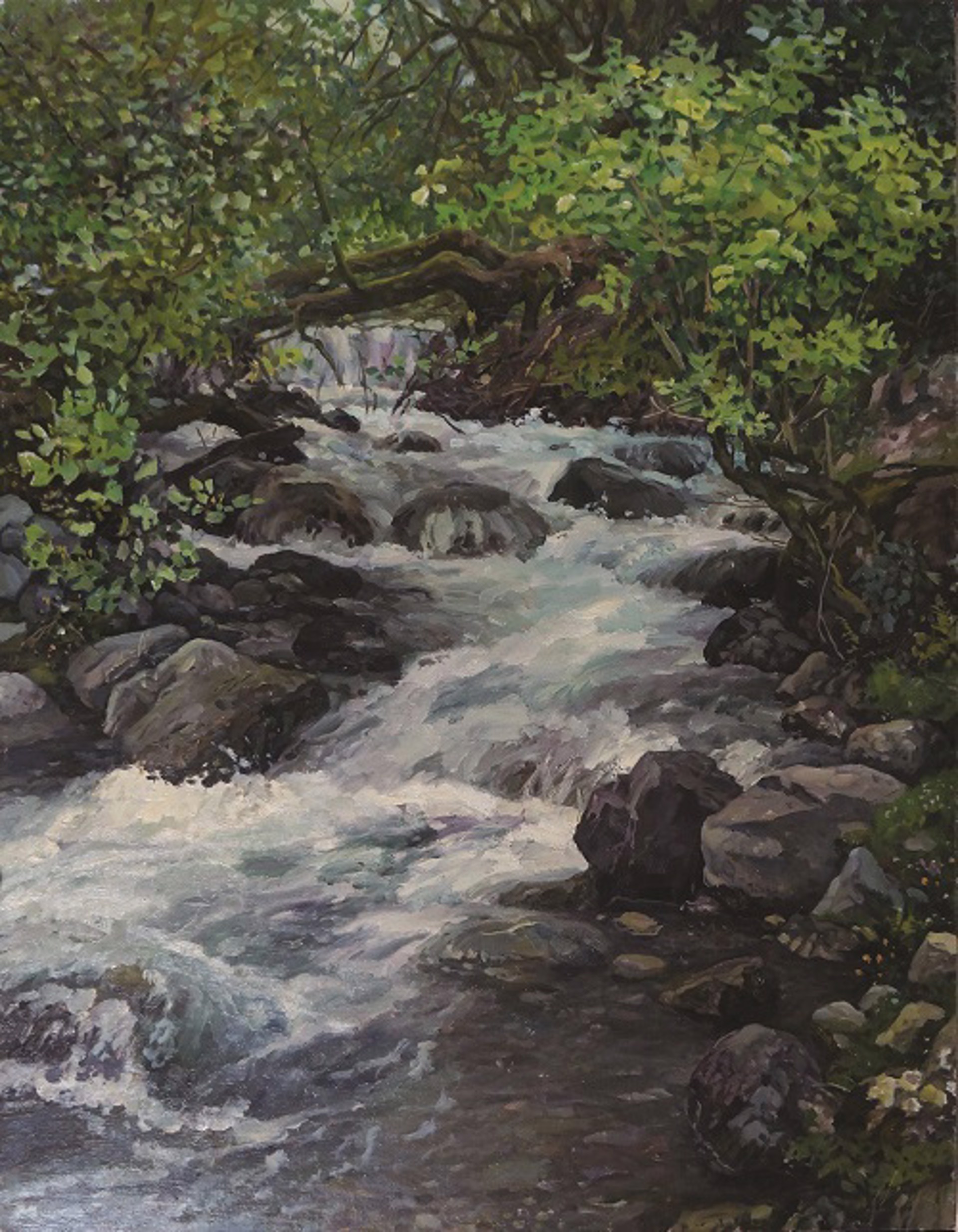 Mountain Creek by Ivan Vityuk