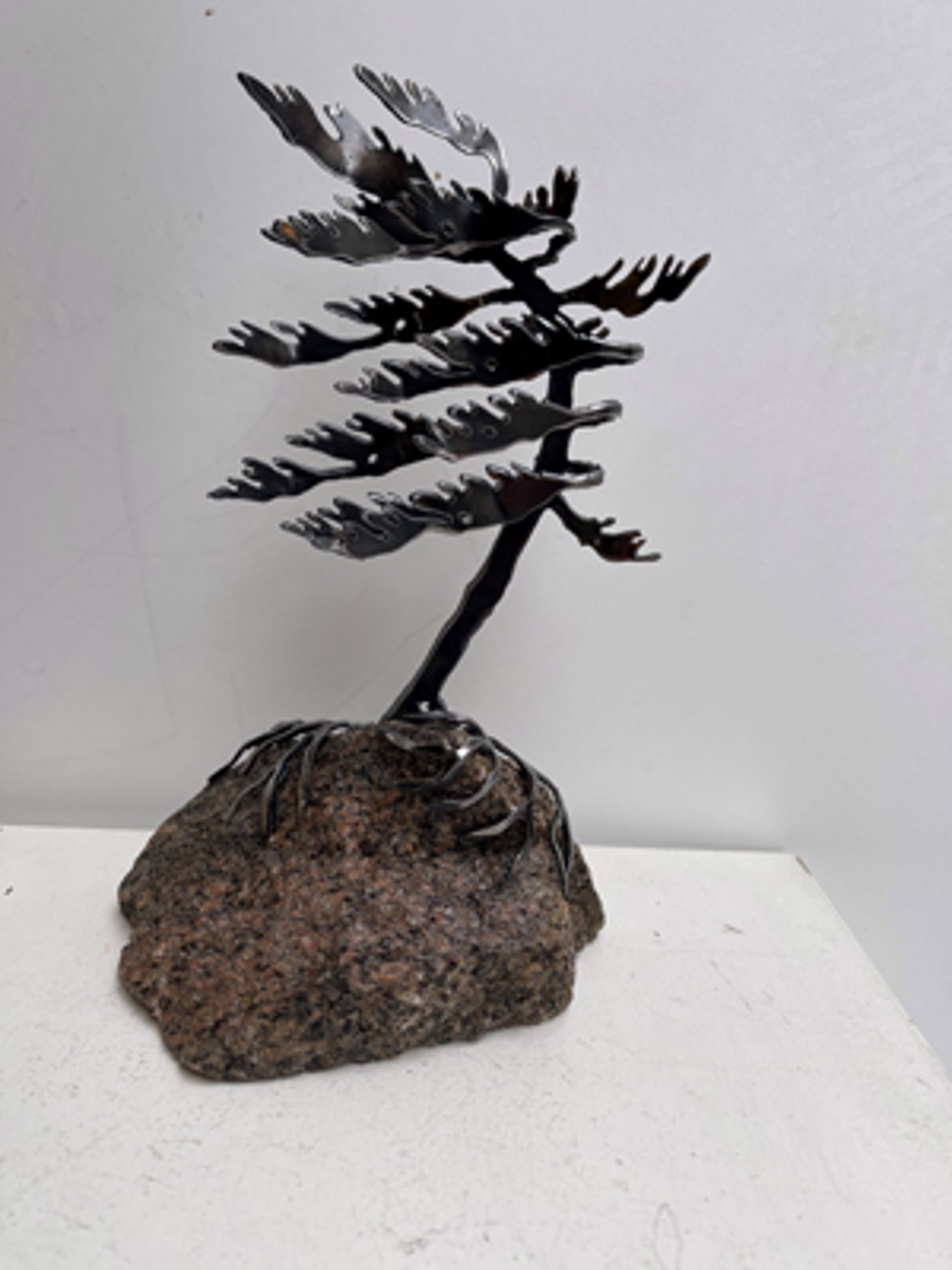 Windswept Pine 660048 by Cathy Mark