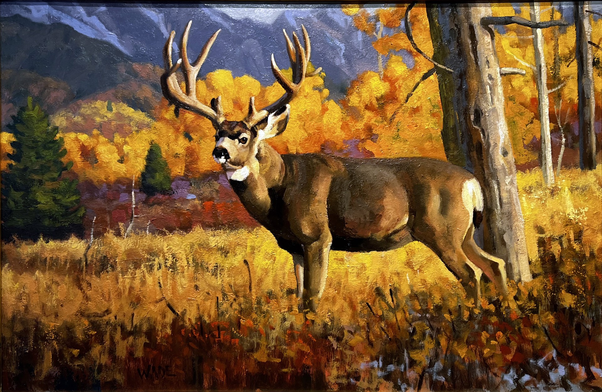 Autumn Mule Deer by Dave Wade