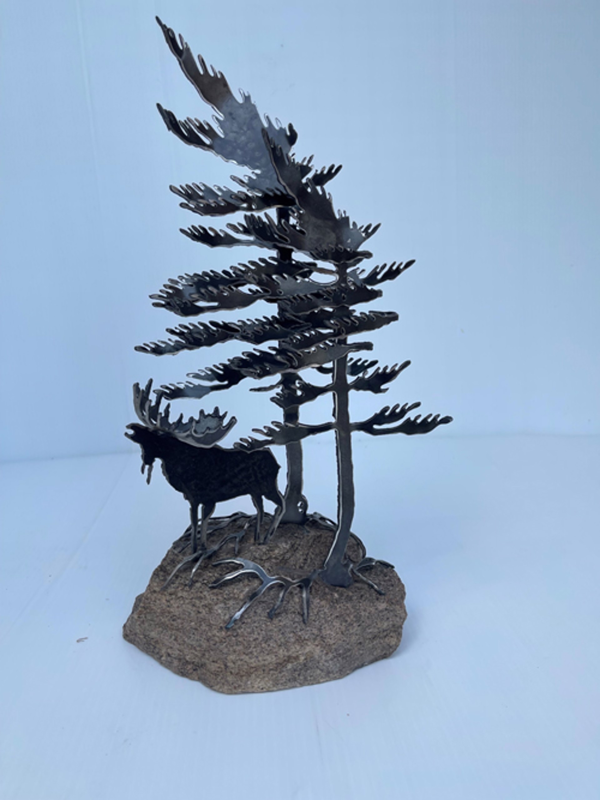 Two Tree Moose on Rock by Cathy Mark