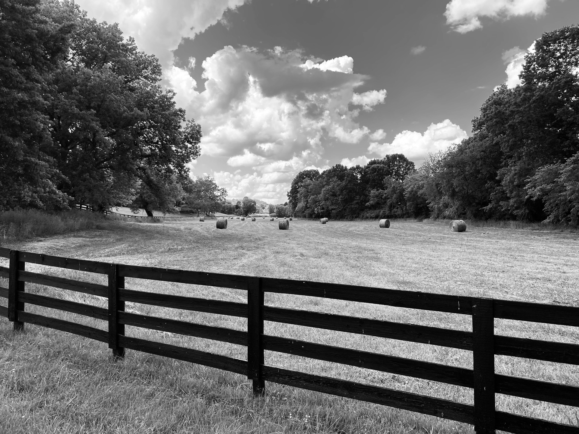 Hay Bales, Leiper's Fork by Stacy Widelitz