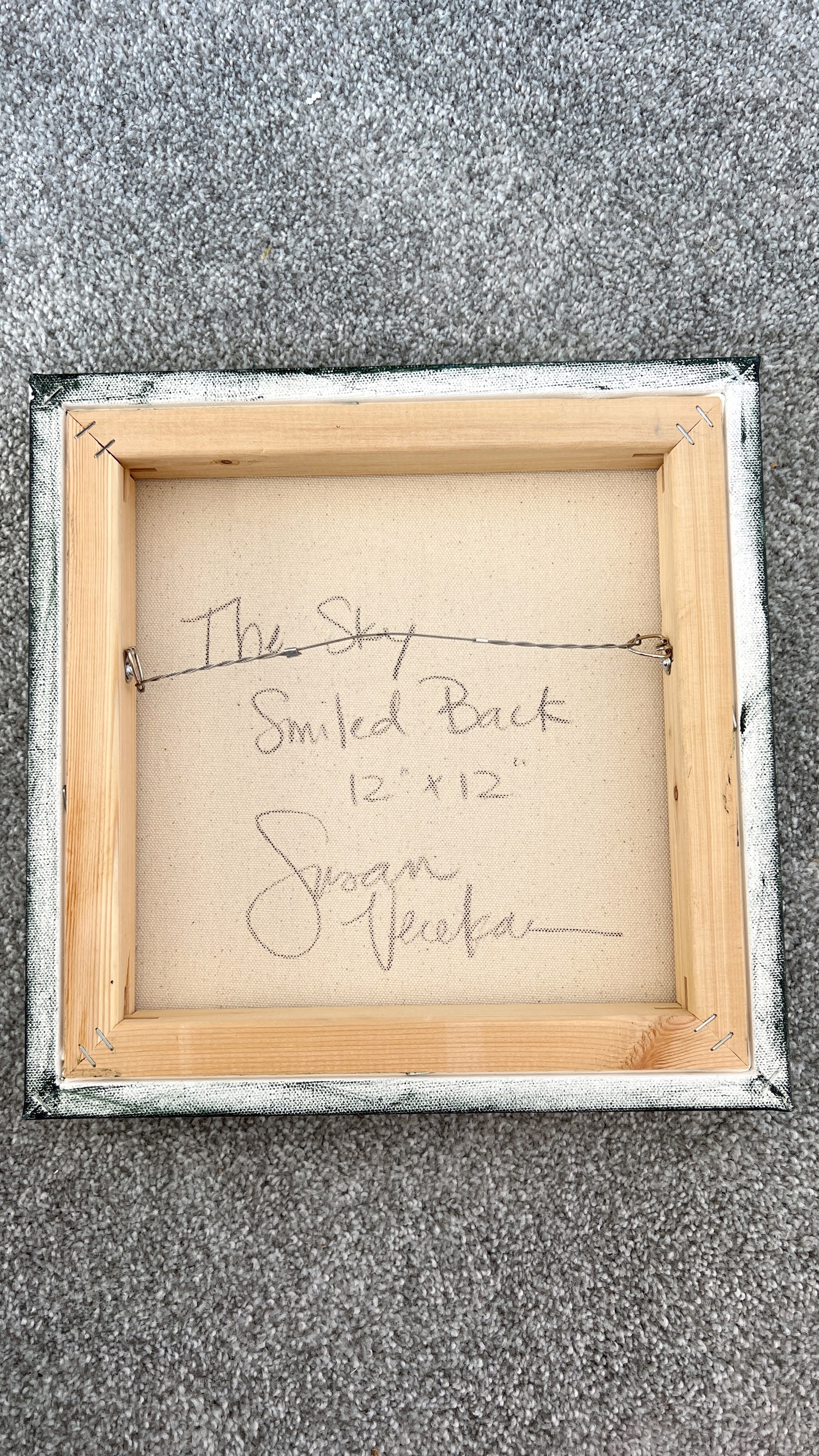 The Sky Smiled Back by Susan Verekar