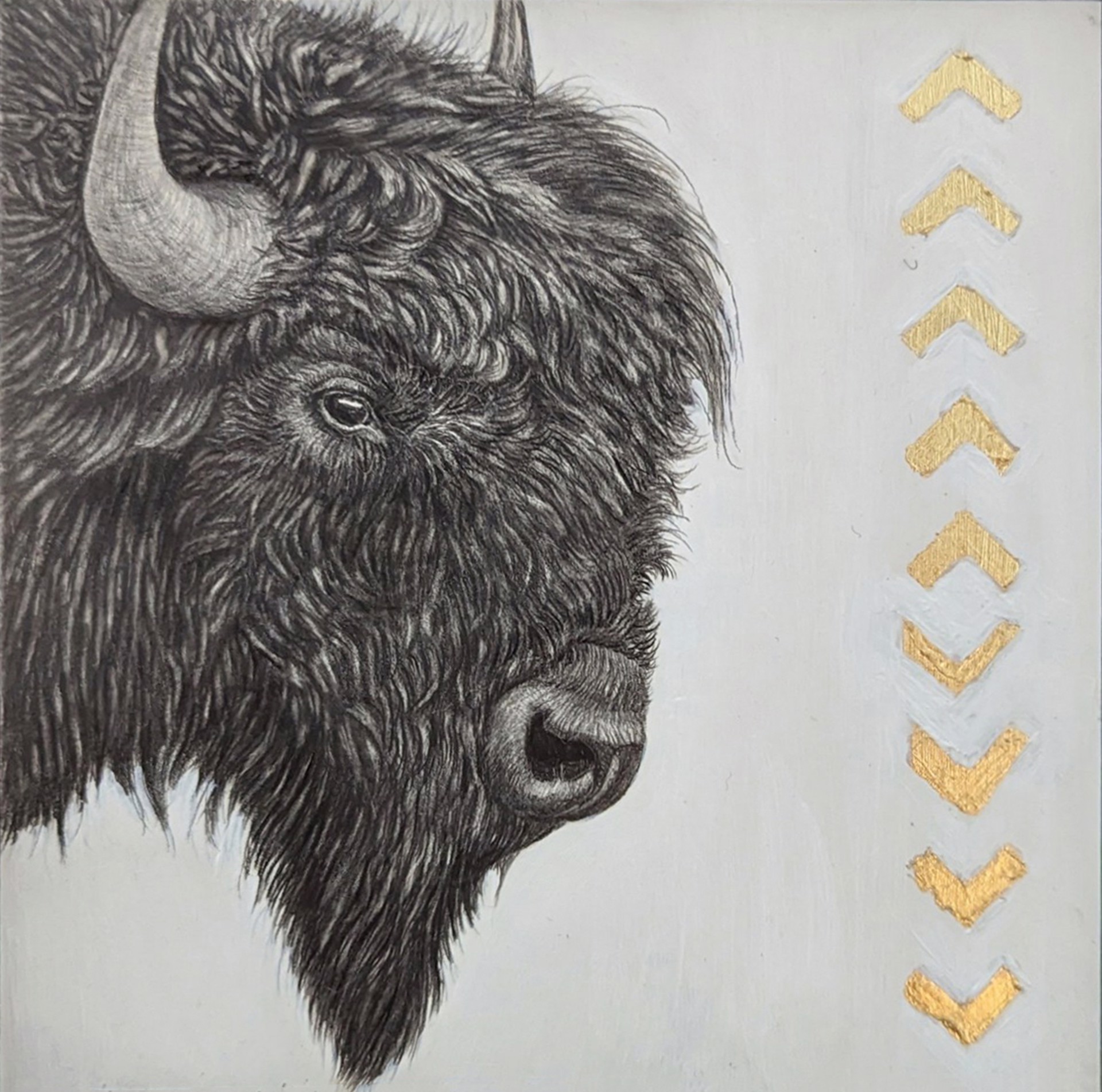 Bison by Tammy Liu-Haller