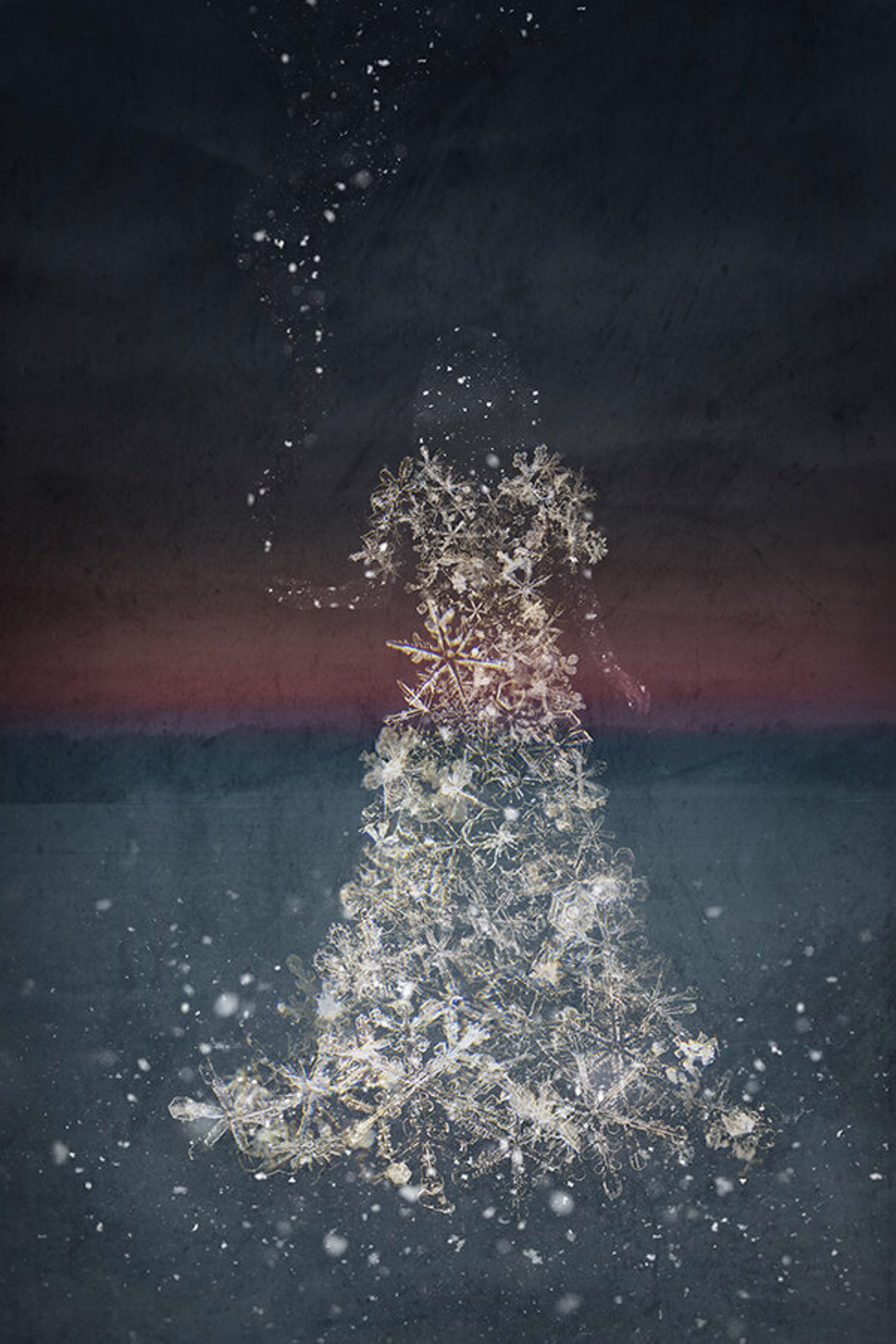 The Weight of a Snowflake by Elisabeth Ladwig