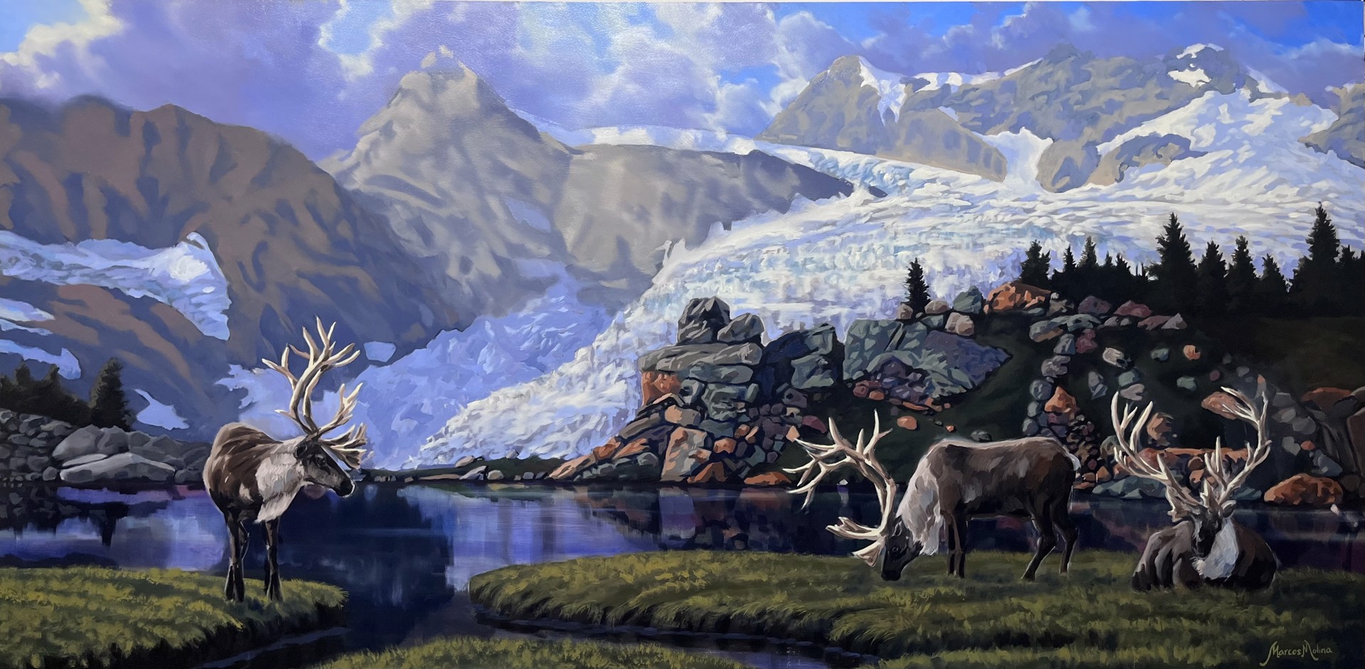 Caribou in the Cariboos by Marcos Molina