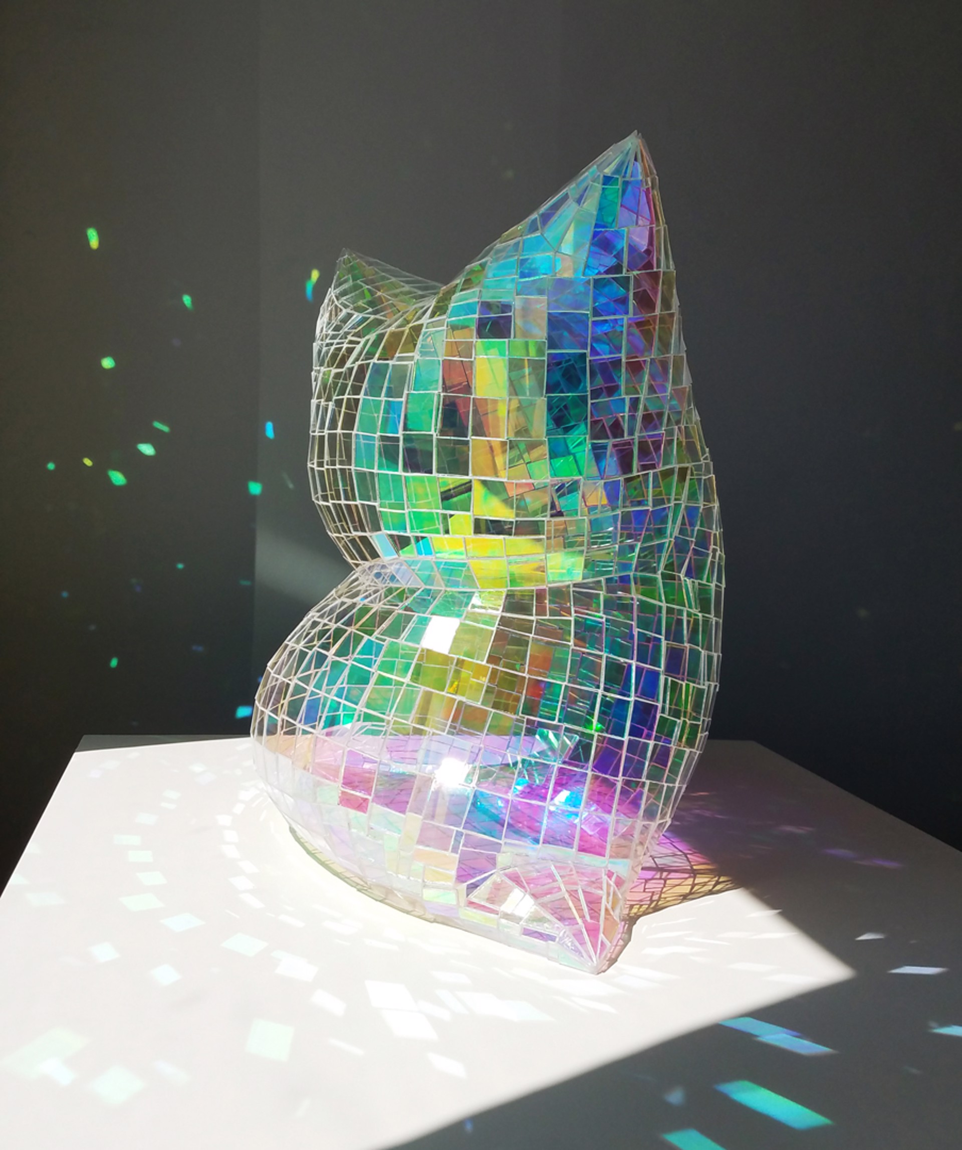 Holograph Pillow 2 by Colin Roberts
