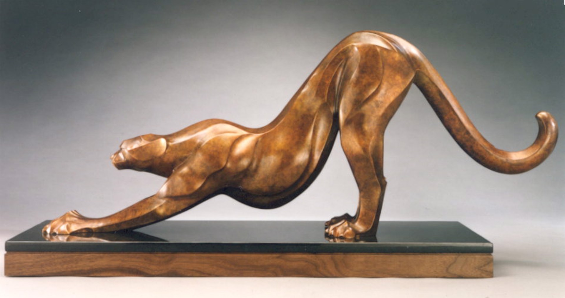 Cheetah Stretch by Rosetta