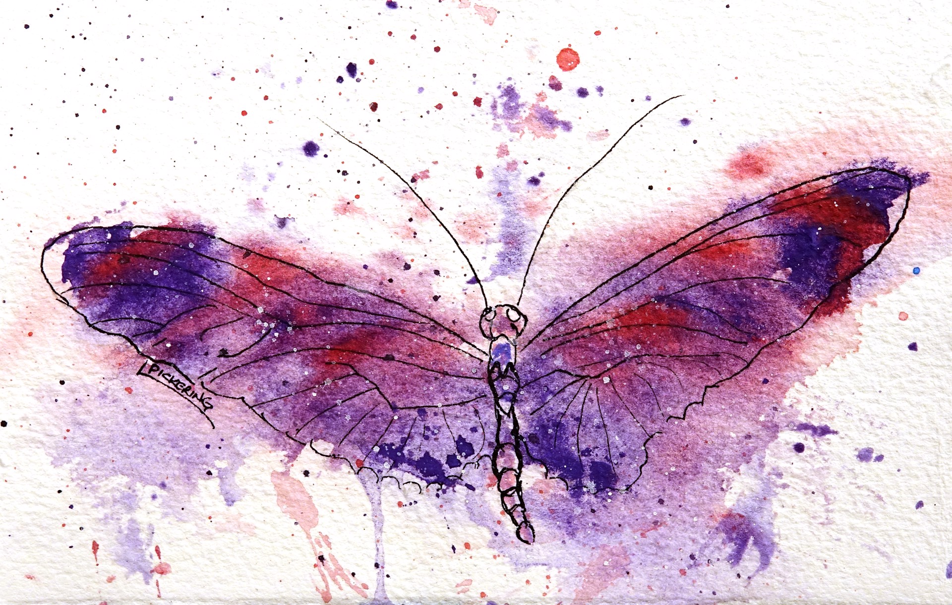 Purple Dragonfly by Laura Pickering
