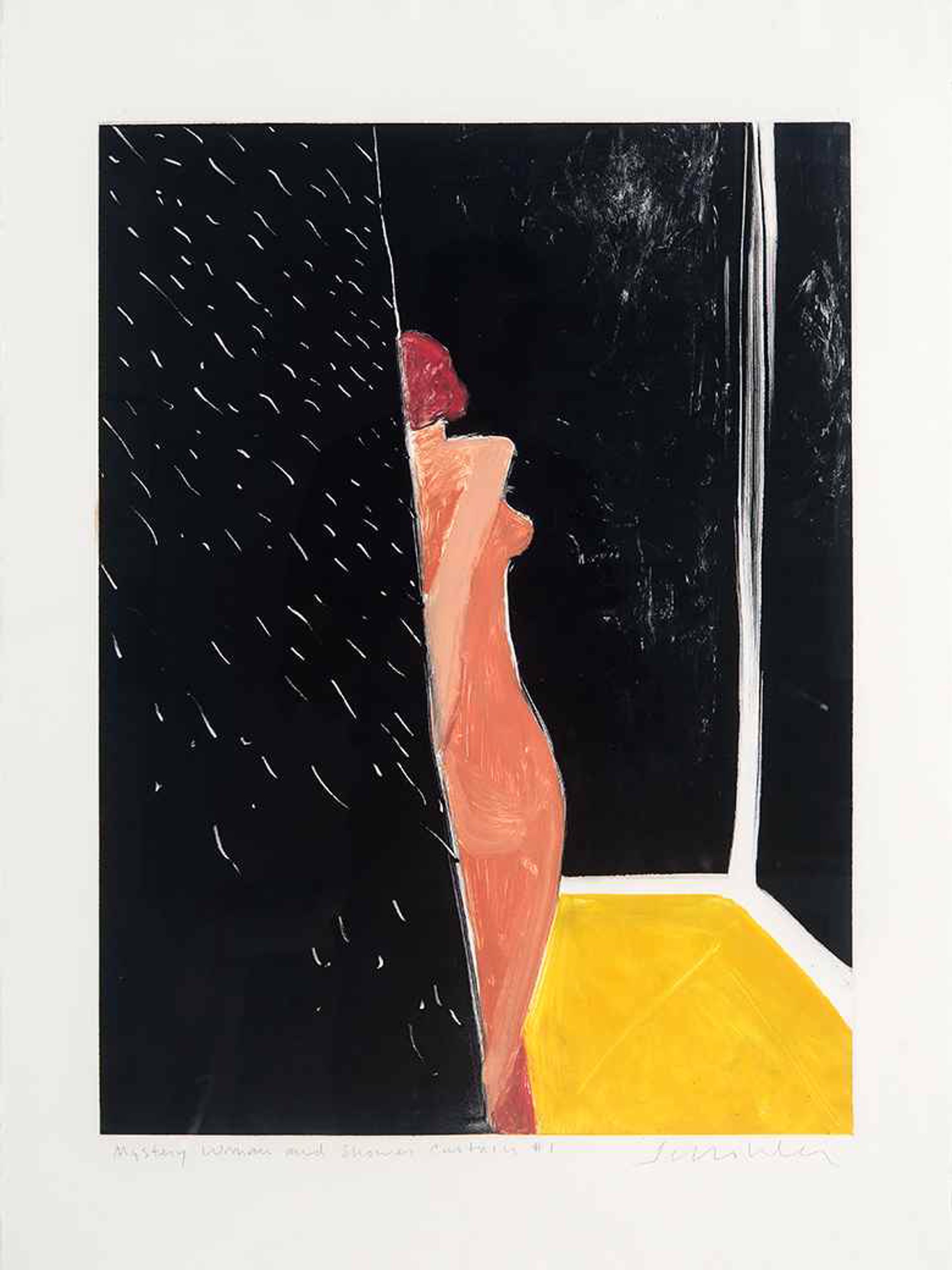 Mystery Woman and Shower Curtain No. 1 by Fritz Scholder