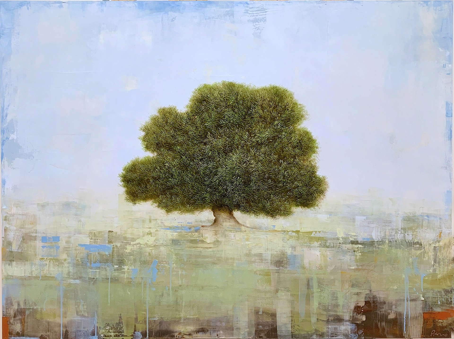 Old Olive Tree by Jessica Pisano