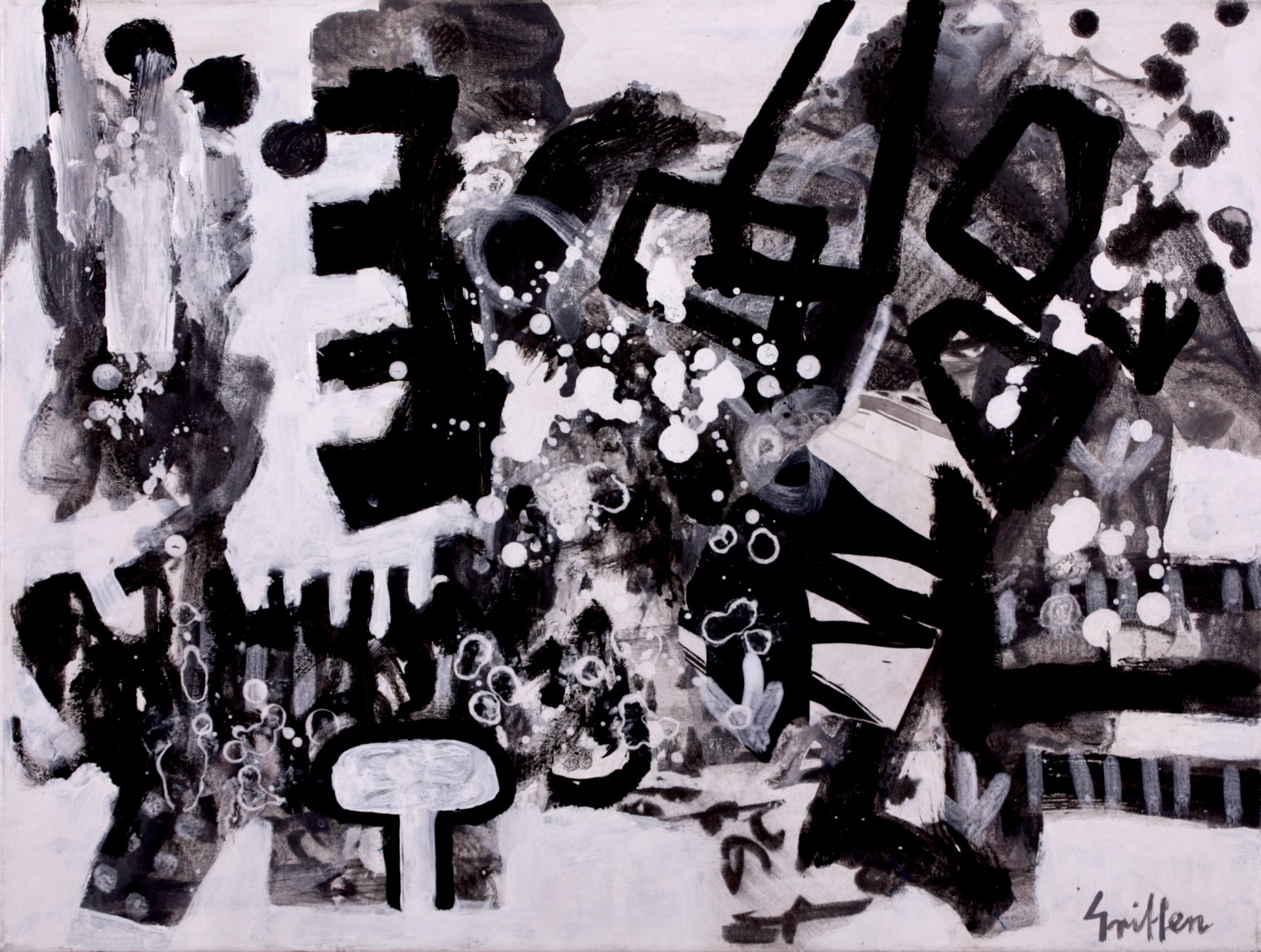 The Poet in a Black and White Land by Peter Griffen
