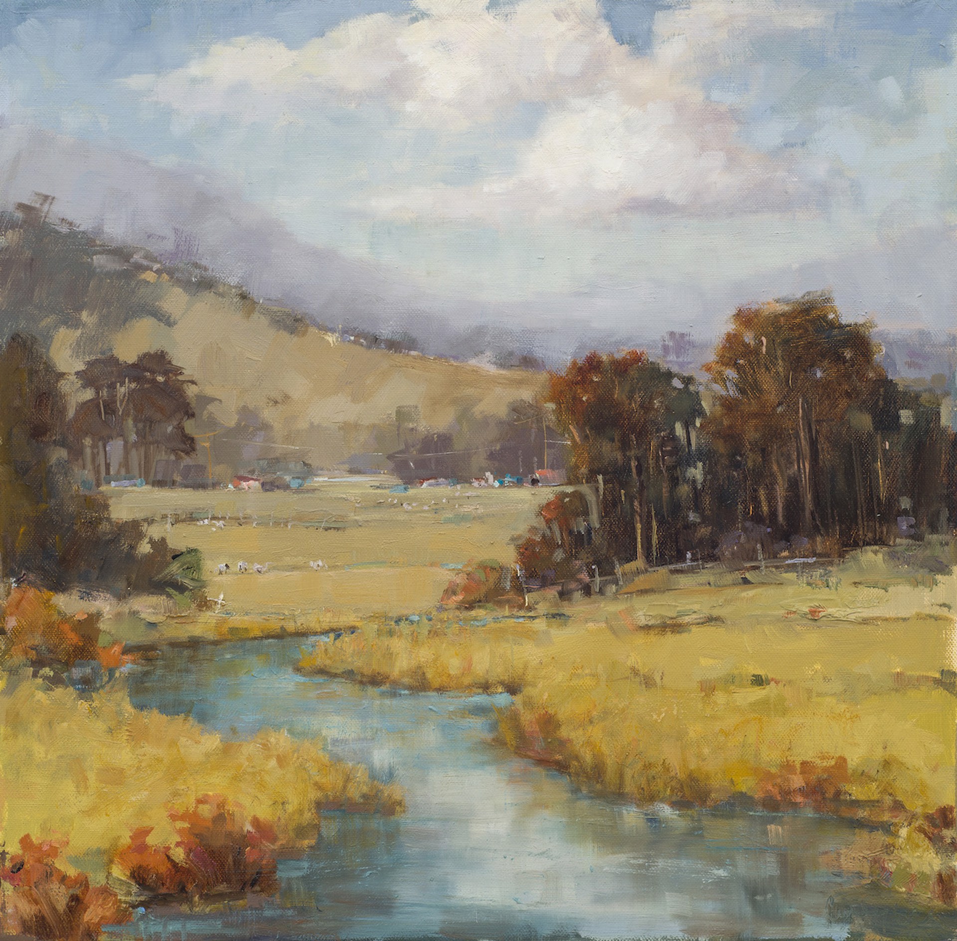 Golden Meadow by Cindy Wilbur