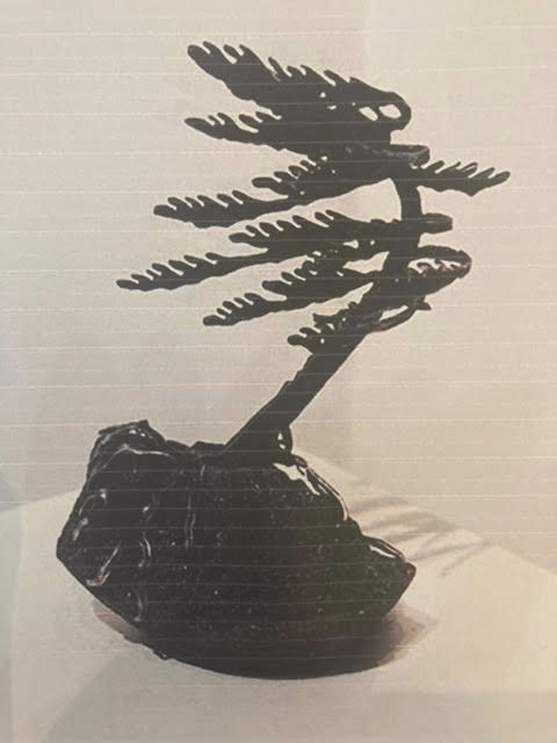 Windswept Pine, 189966 by Cathy Mark