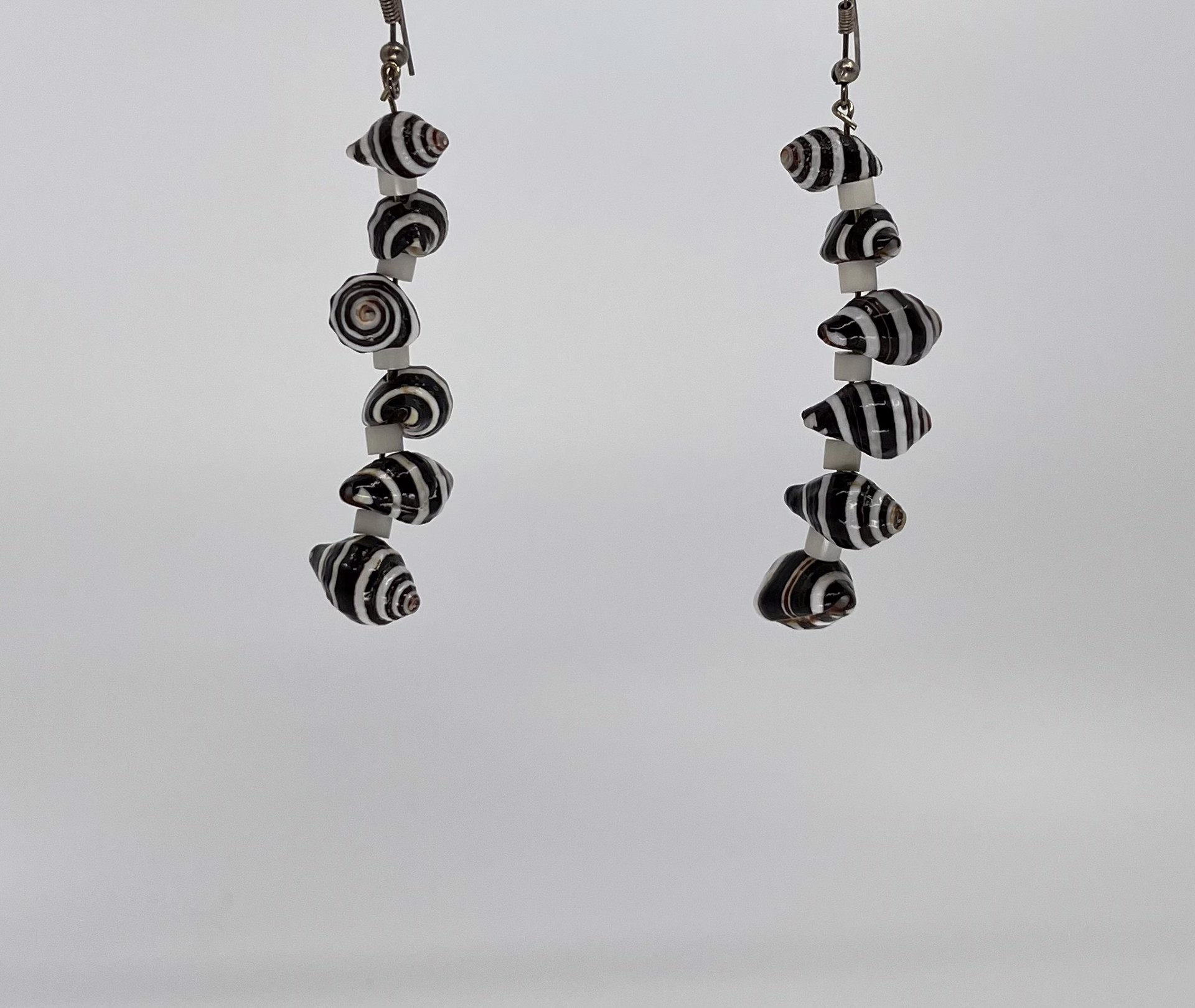 2034 Zebra Shell Earring by Gina Caruso