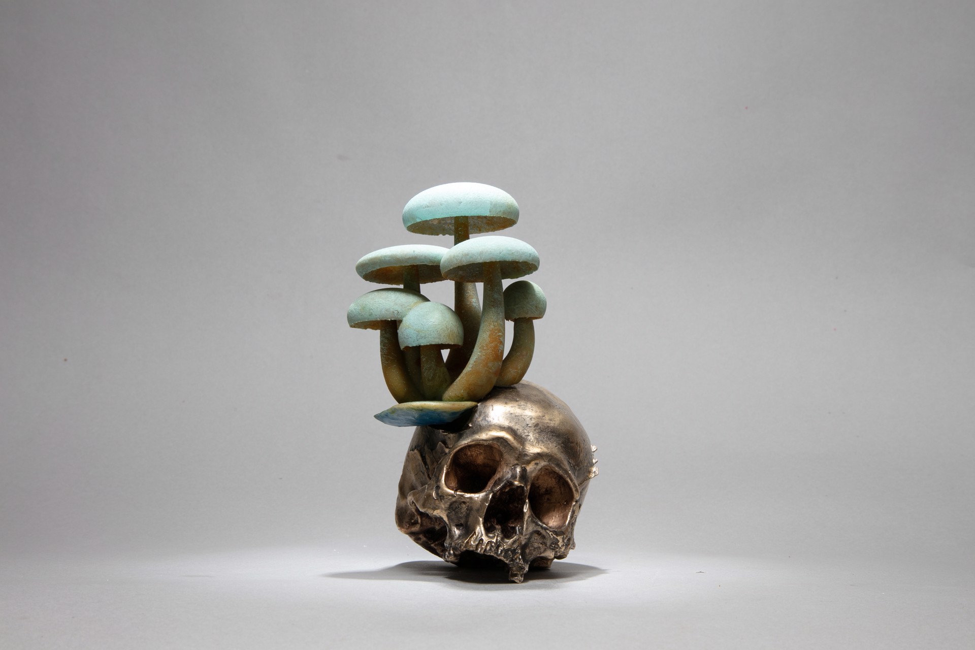 Mushroom Skull by Dana Younger