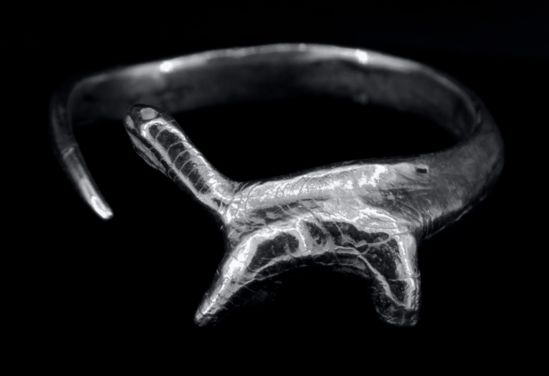 Dino Ring, Adjustable Size by Zenon Bigg