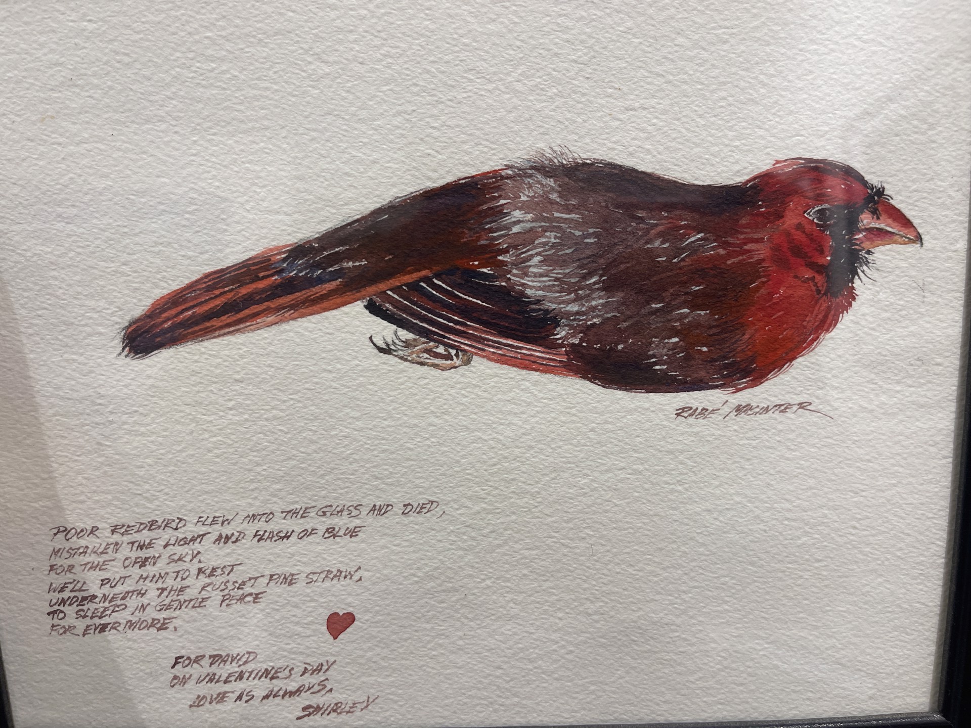Cardinal by Shirley Rabe' Masinter