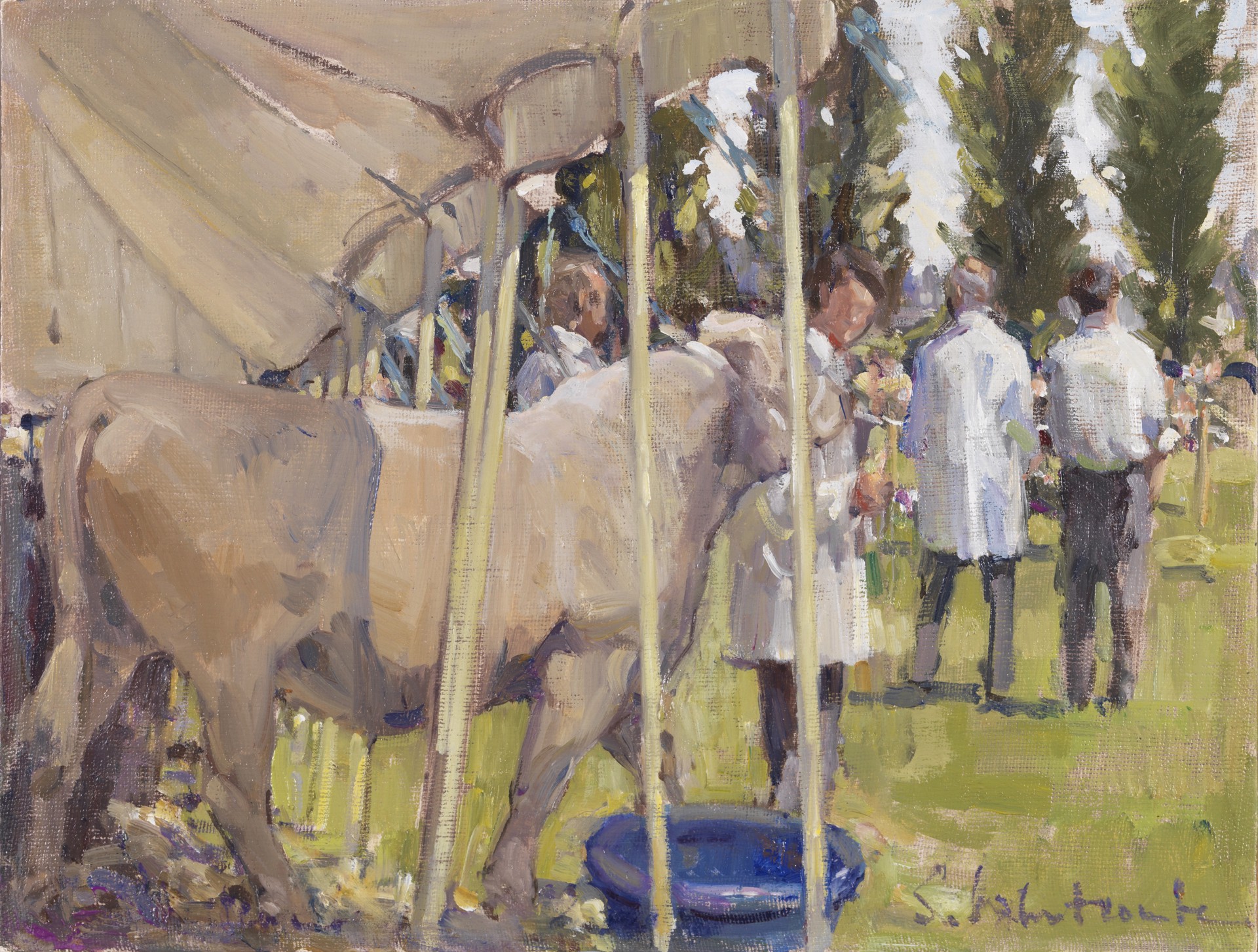 Alton Show Charollais class by Susie Whitcombe