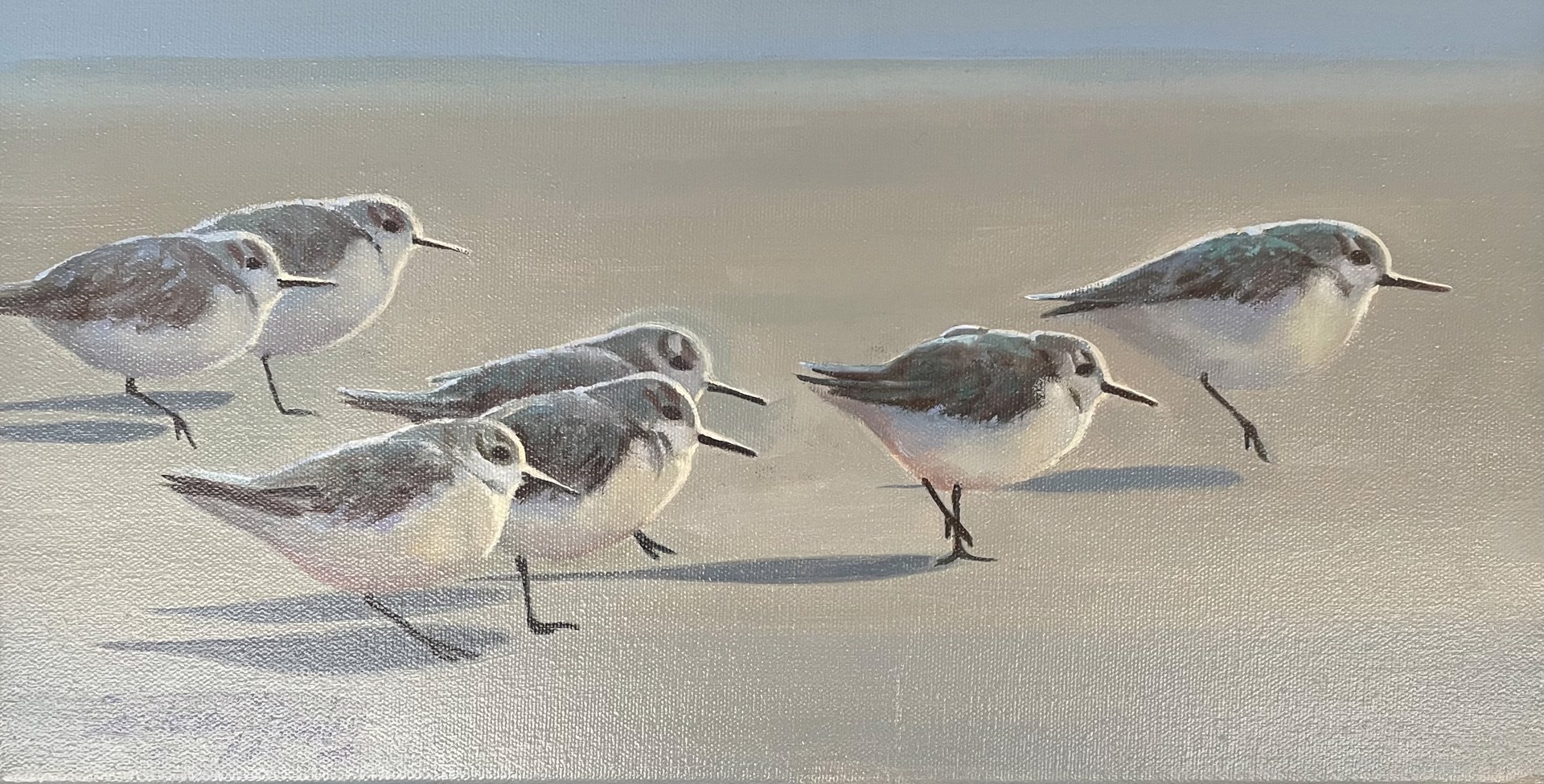 Shore Birds by Carolyne Hawley